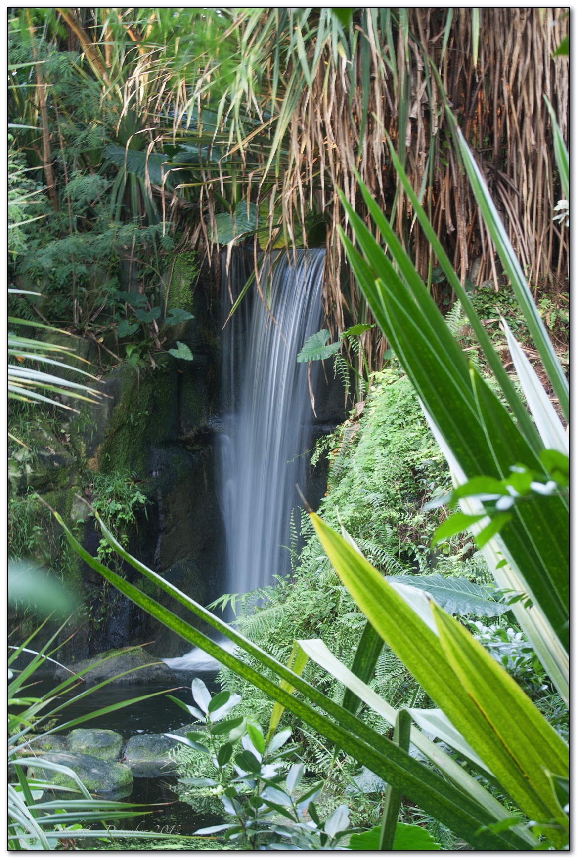 Zoo Zürich 30.12.12
