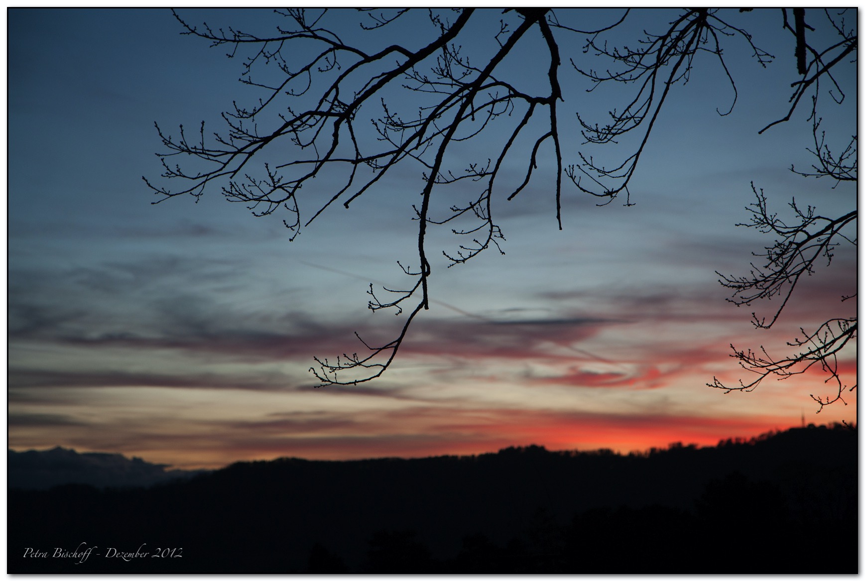 Zoo Zürich 30.12.12