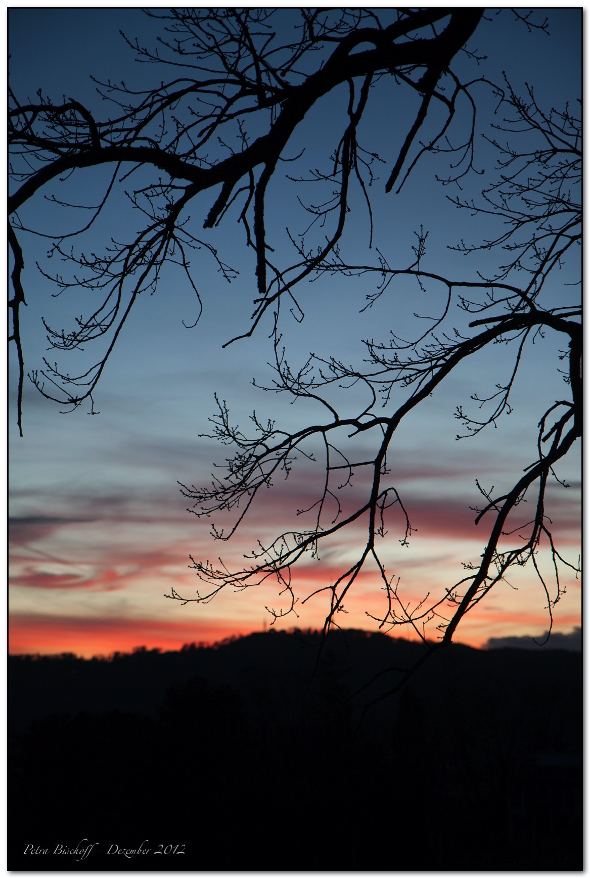 Zoo Zürich 30.12.12