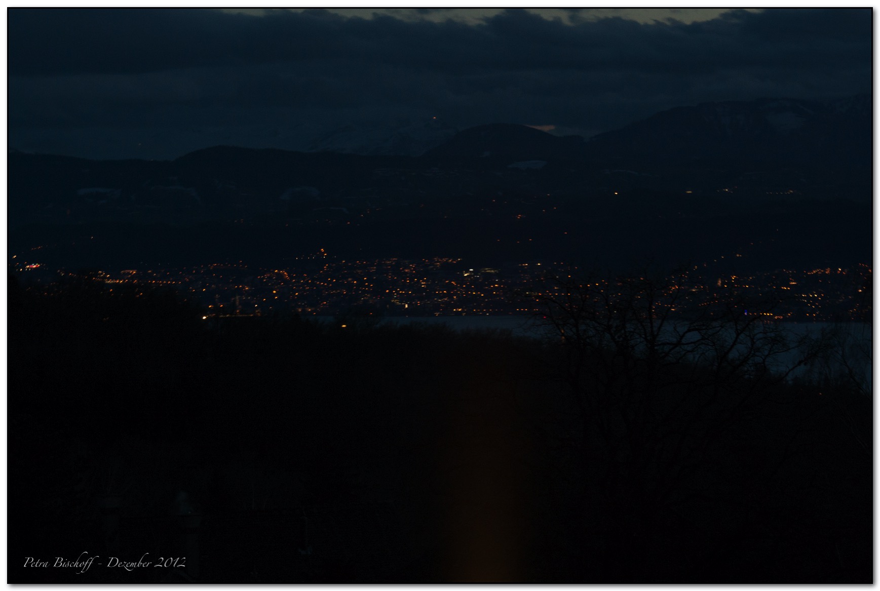 Zoo Zürich 30.12.12
