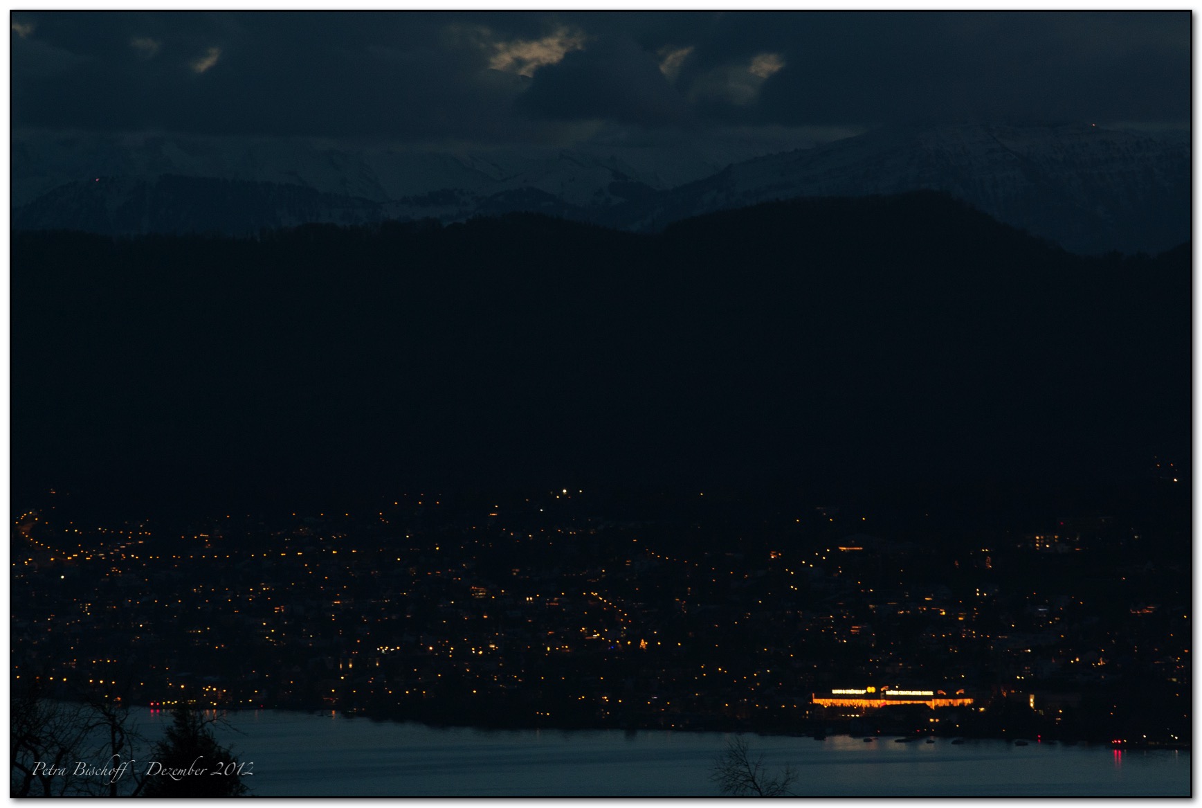 Zoo Zürich 30.12.12