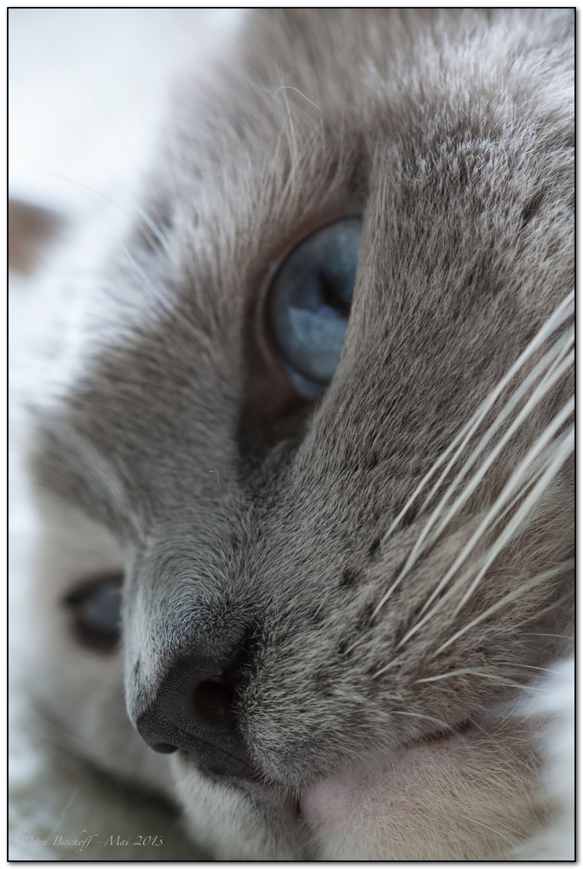 &copy; Petra Bischoff