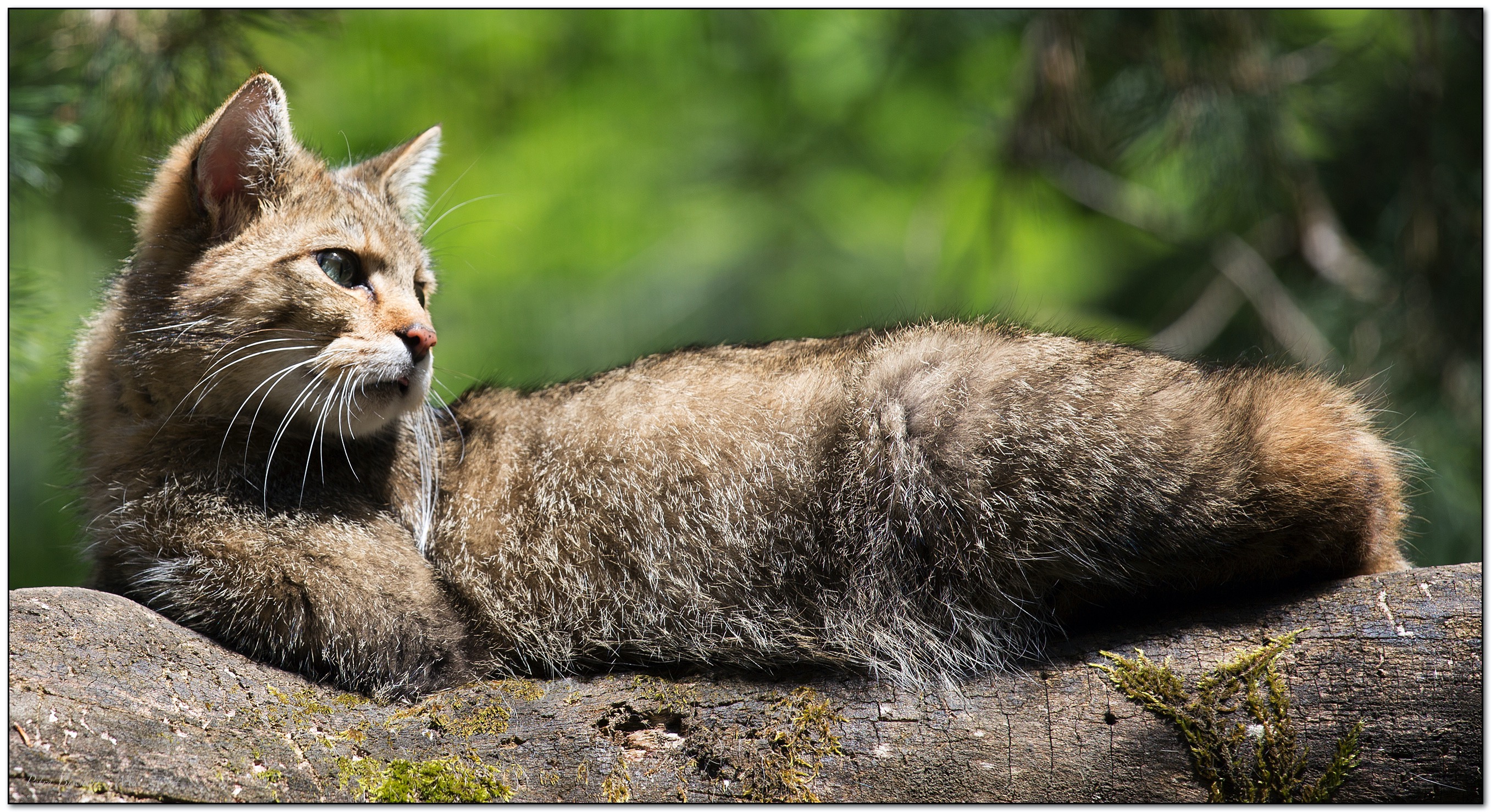 &copy; Petra Bischoff