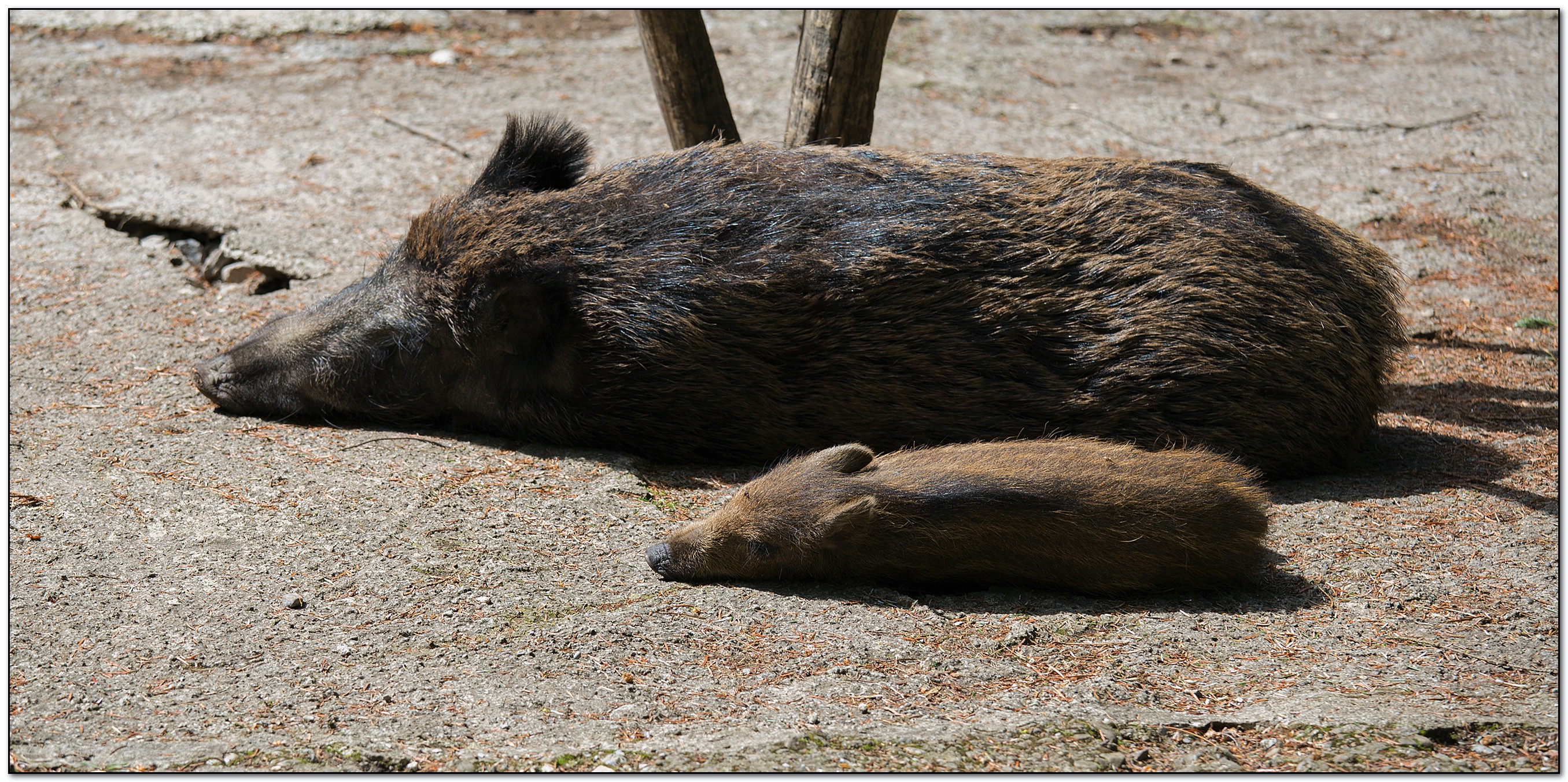 &copy; Petra Bischoff