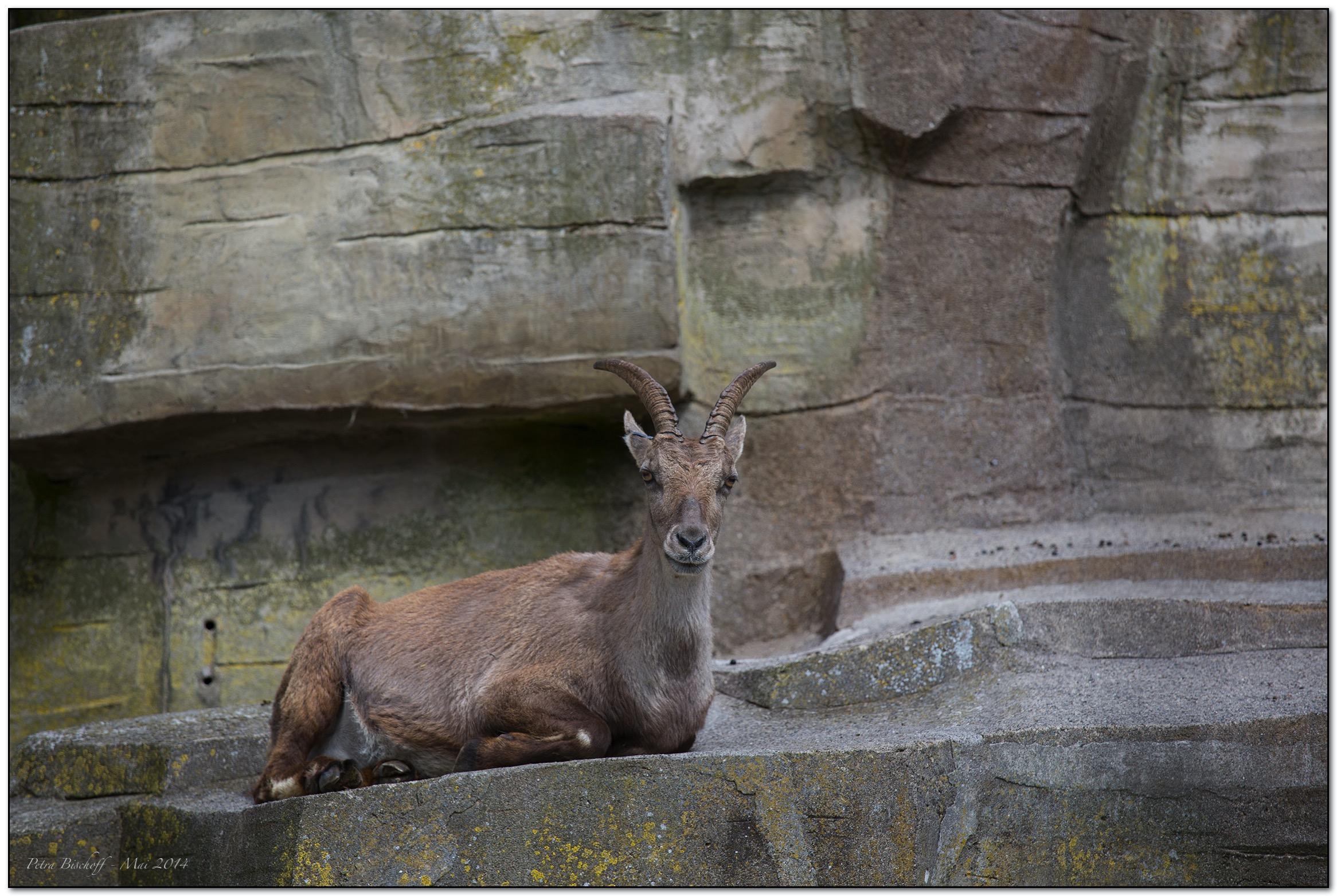 &copy; Petra Bischoff