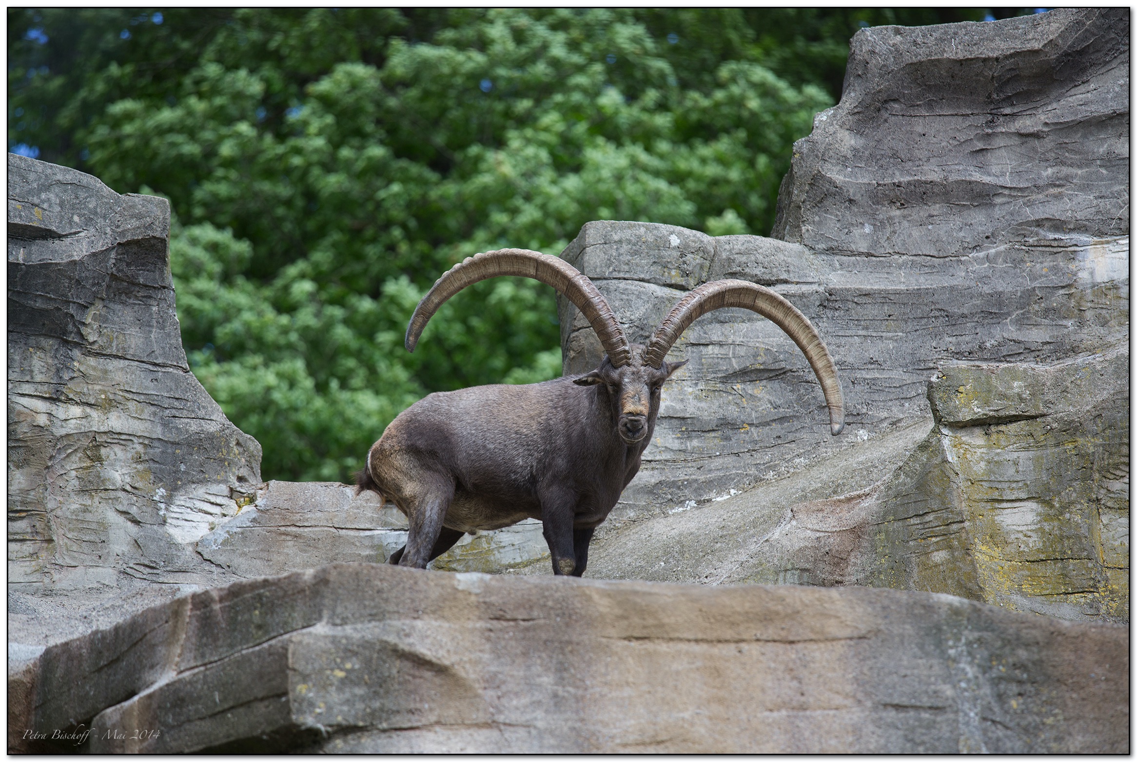 &copy; Petra Bischoff