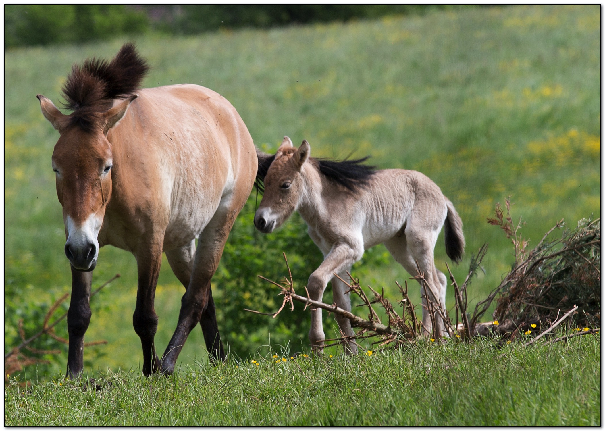 &copy; Petra Bischoff