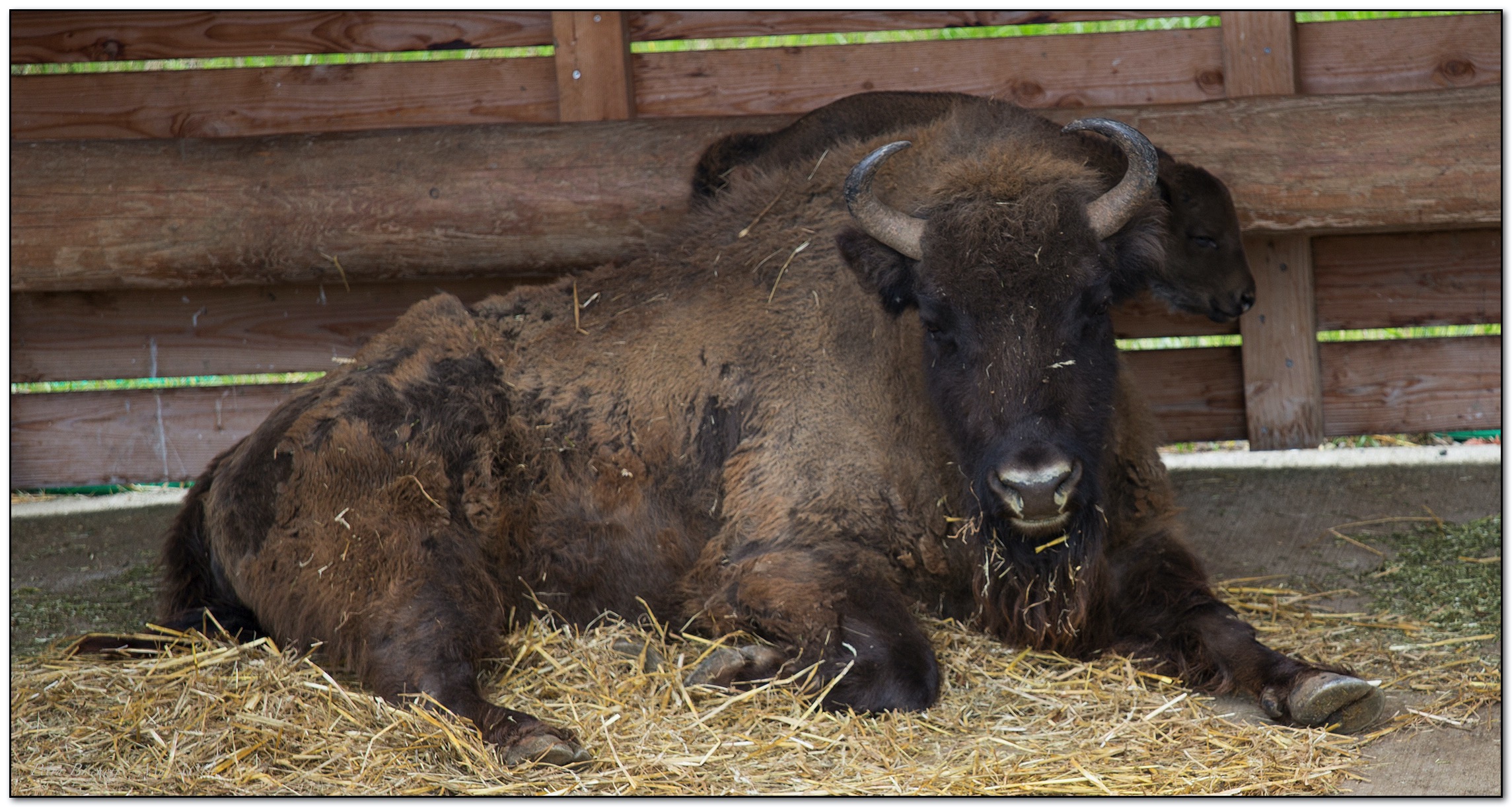 &copy; Petra Bischoff