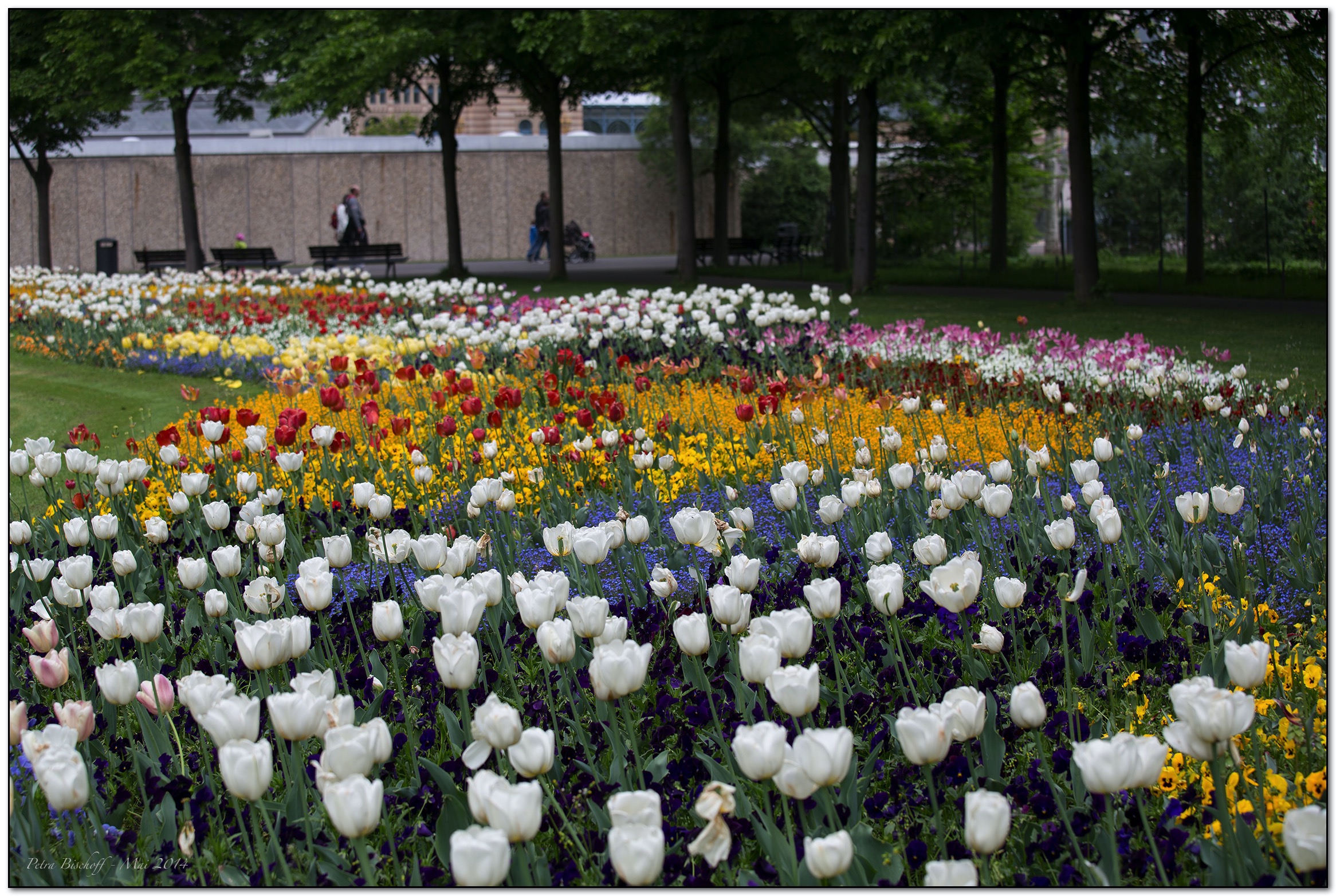 &copy; Petra Bischoff