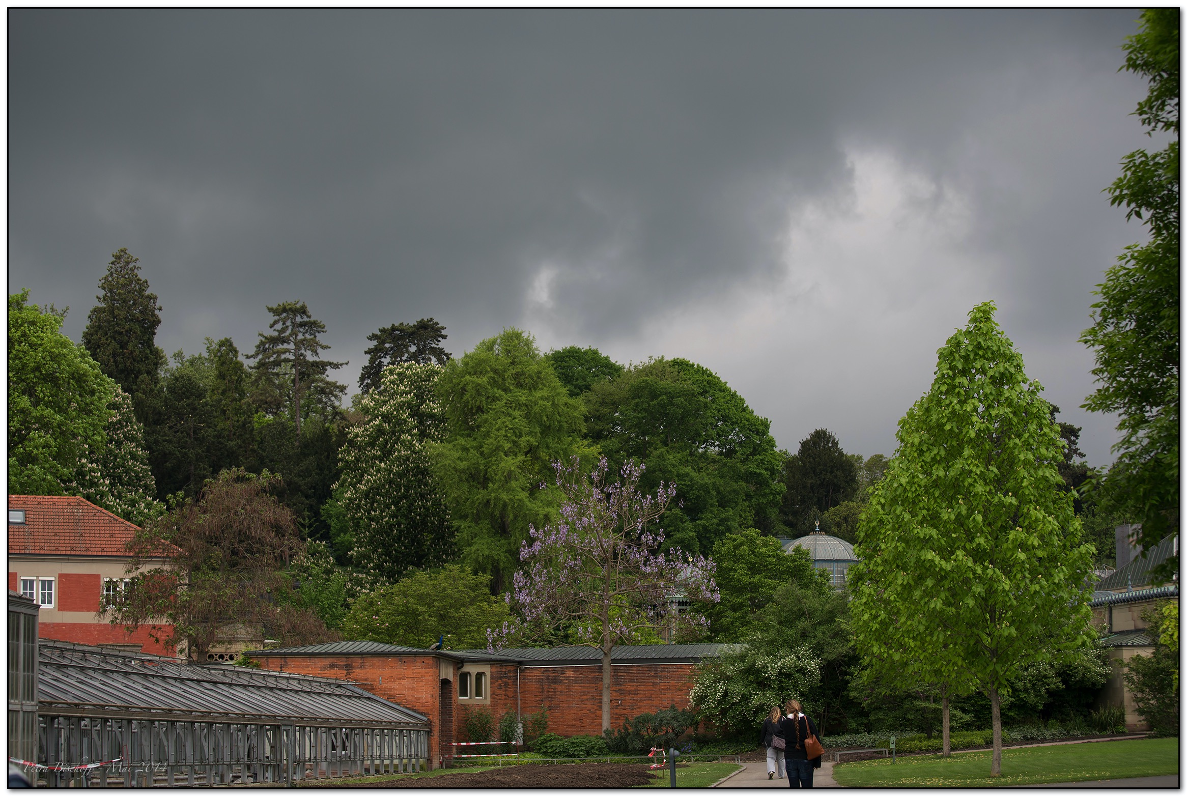 &copy; Petra Bischoff