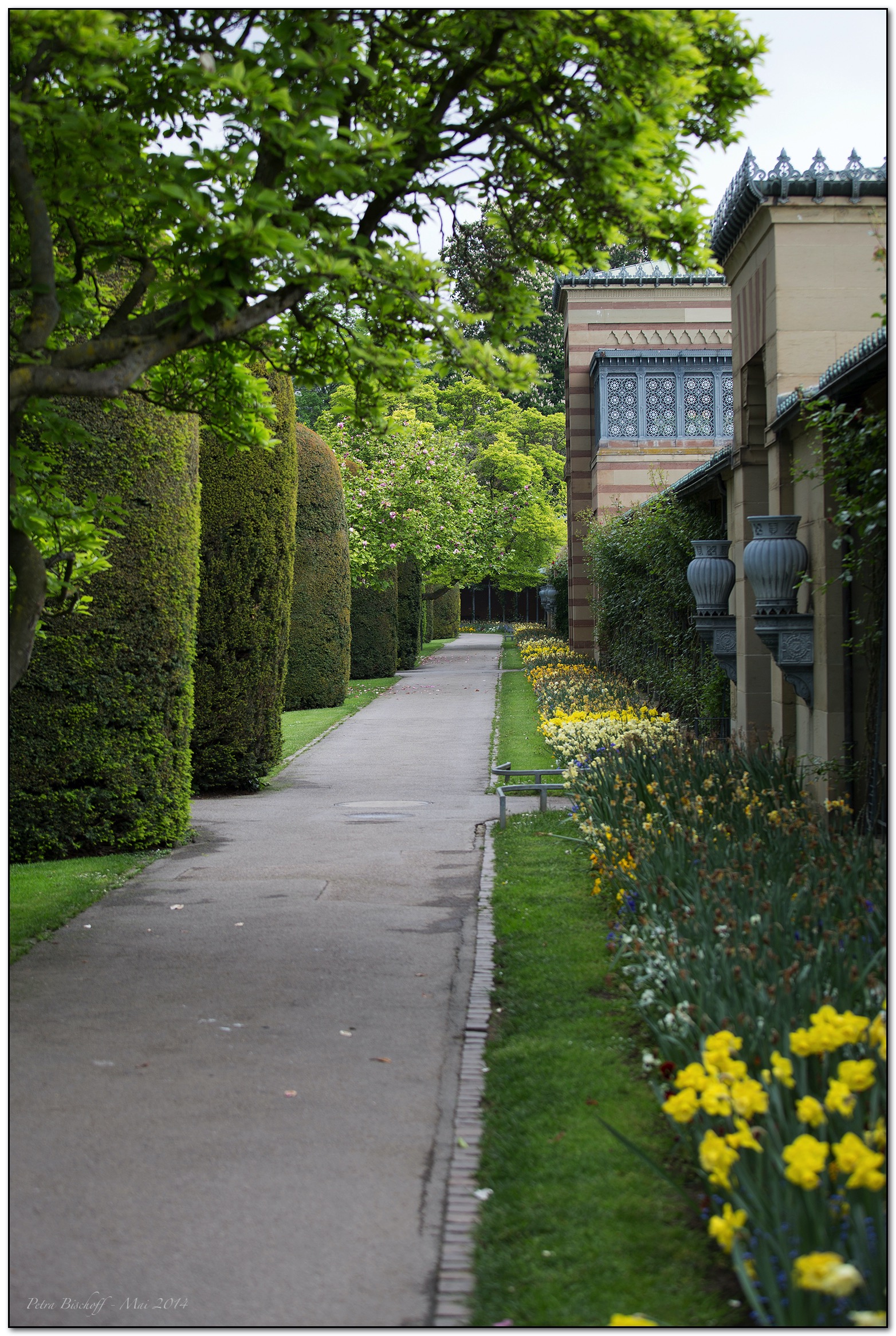 &copy; Petra Bischoff