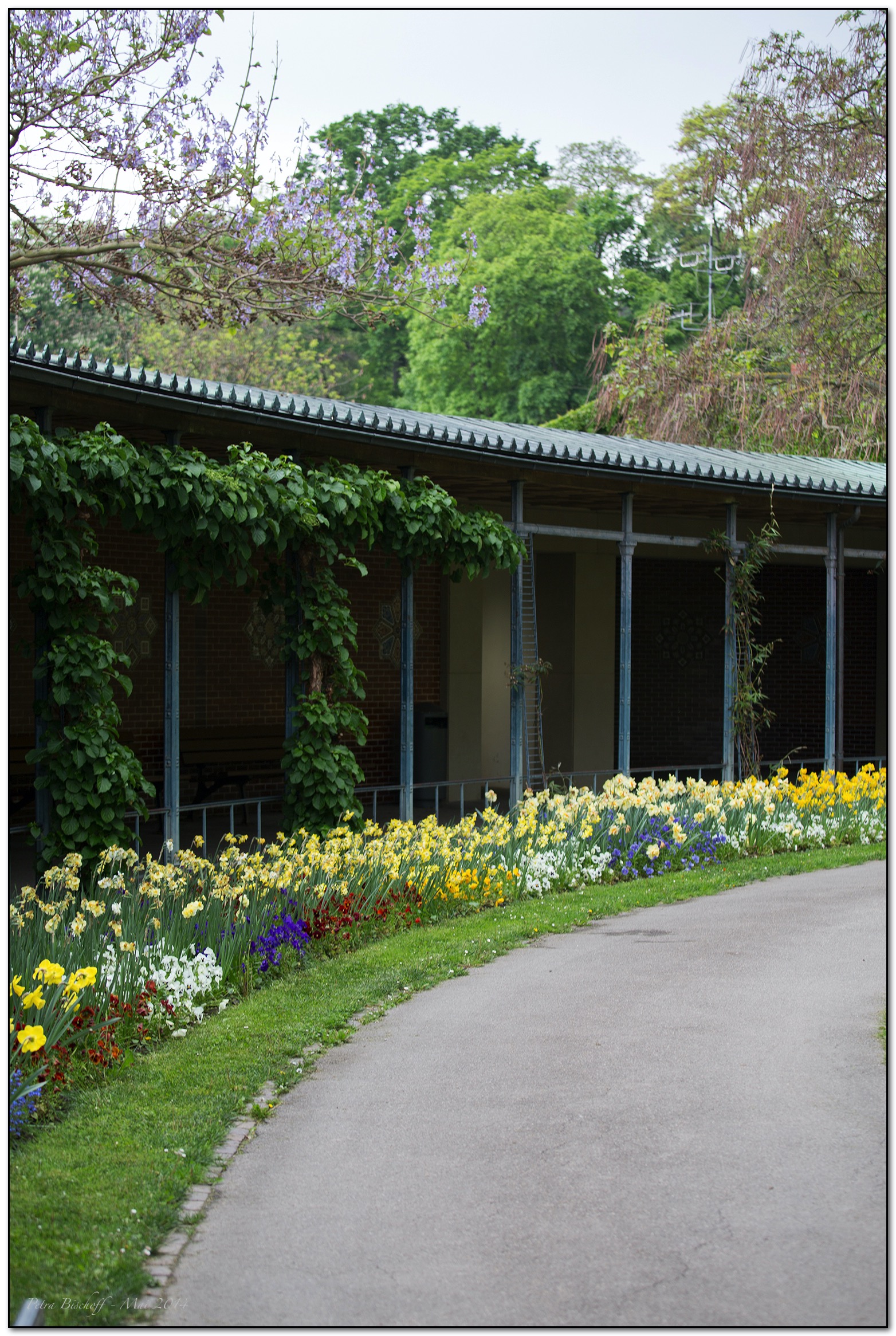 &copy; Petra Bischoff