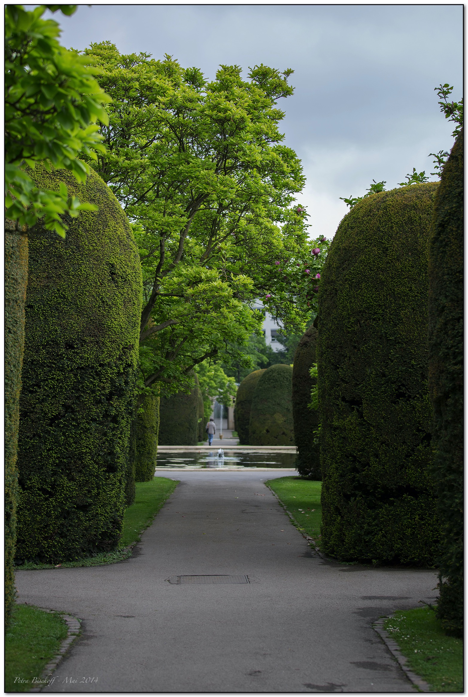 &copy; Petra Bischoff