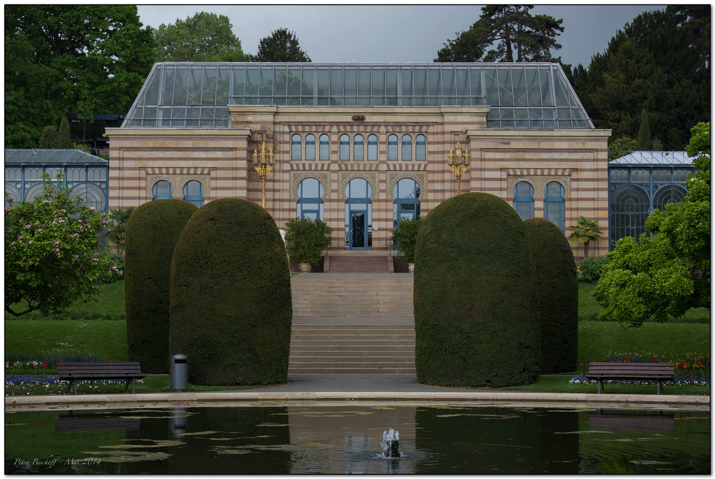 &copy; Petra Bischoff