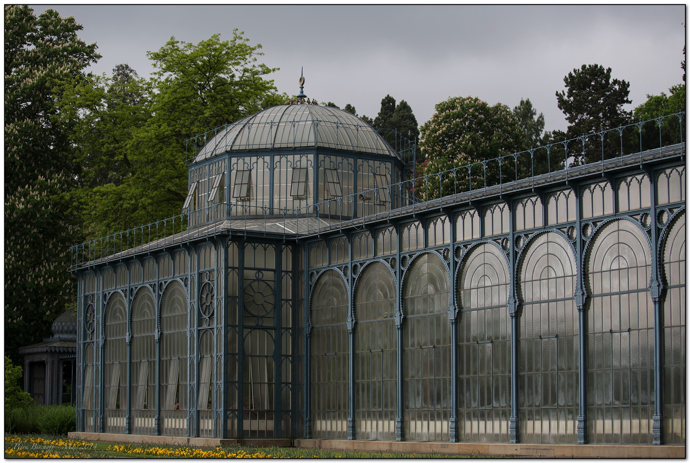 &copy; Petra Bischoff