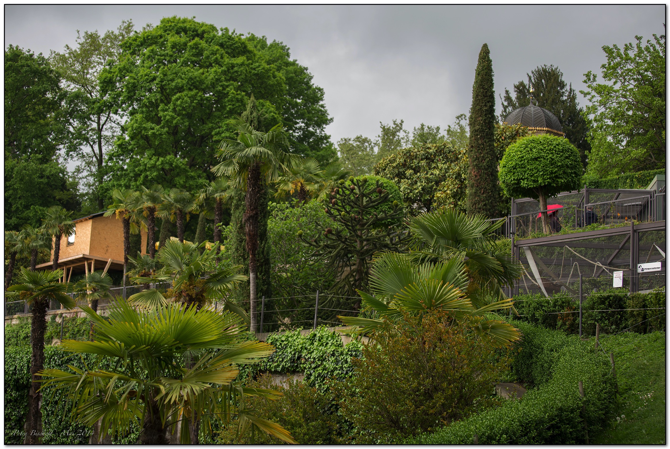 &copy; Petra Bischoff