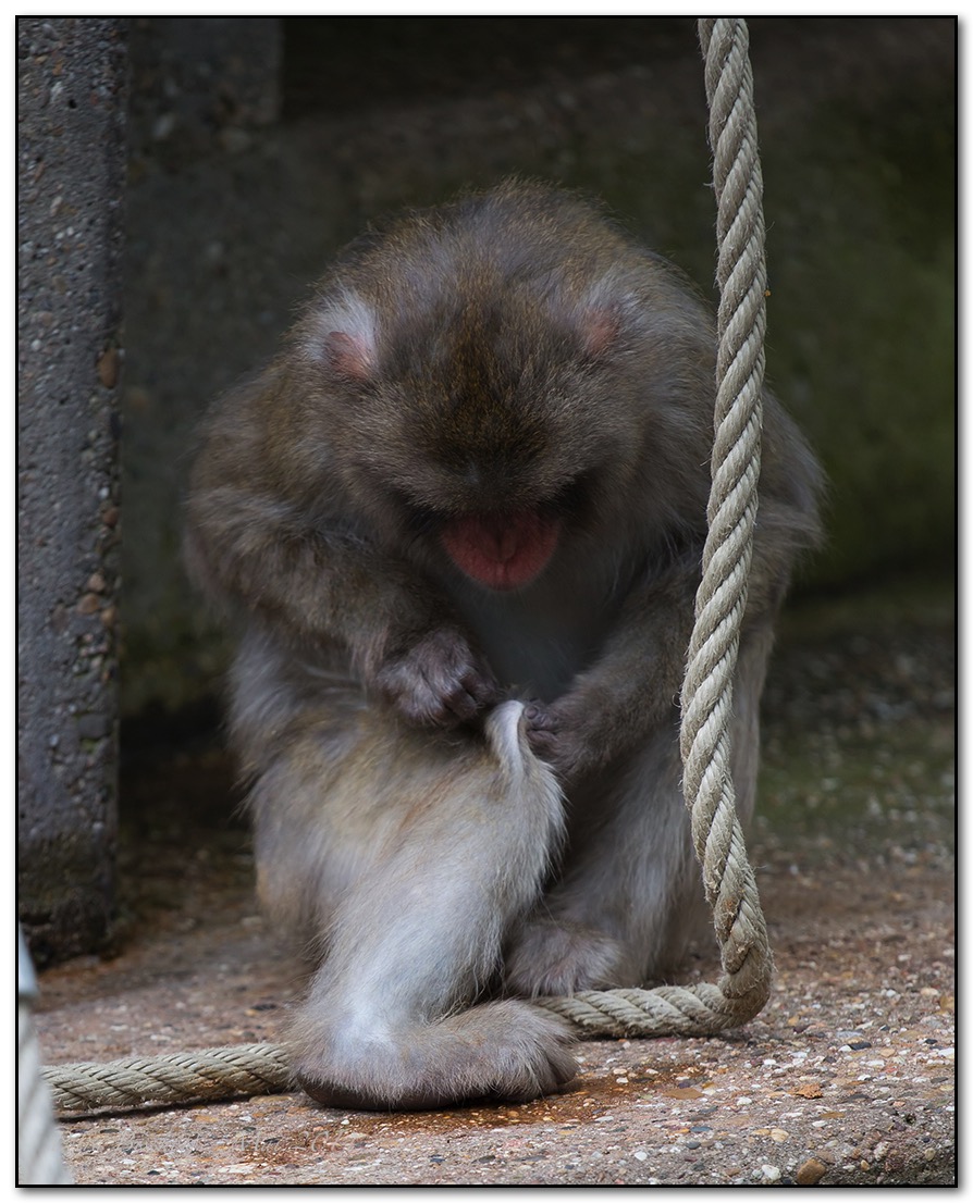 &copy; Petra Bischoff