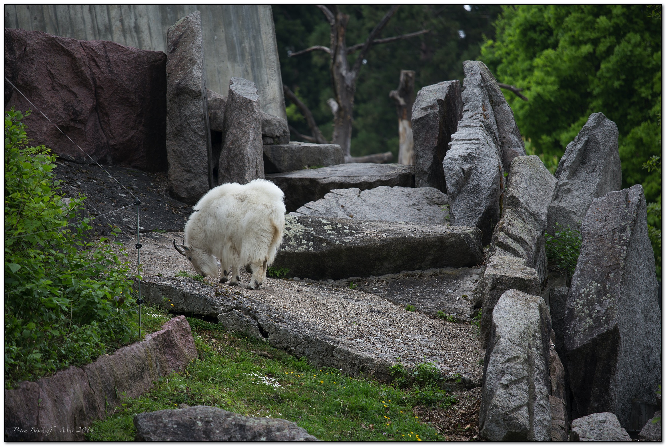 &copy; Petra Bischoff