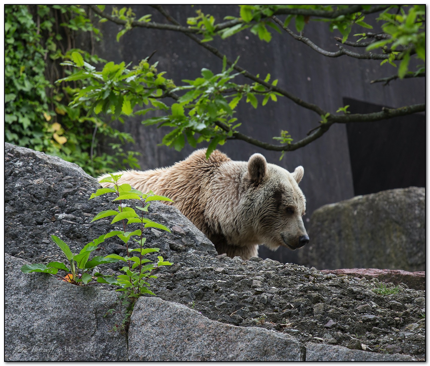 &copy; Petra Bischoff