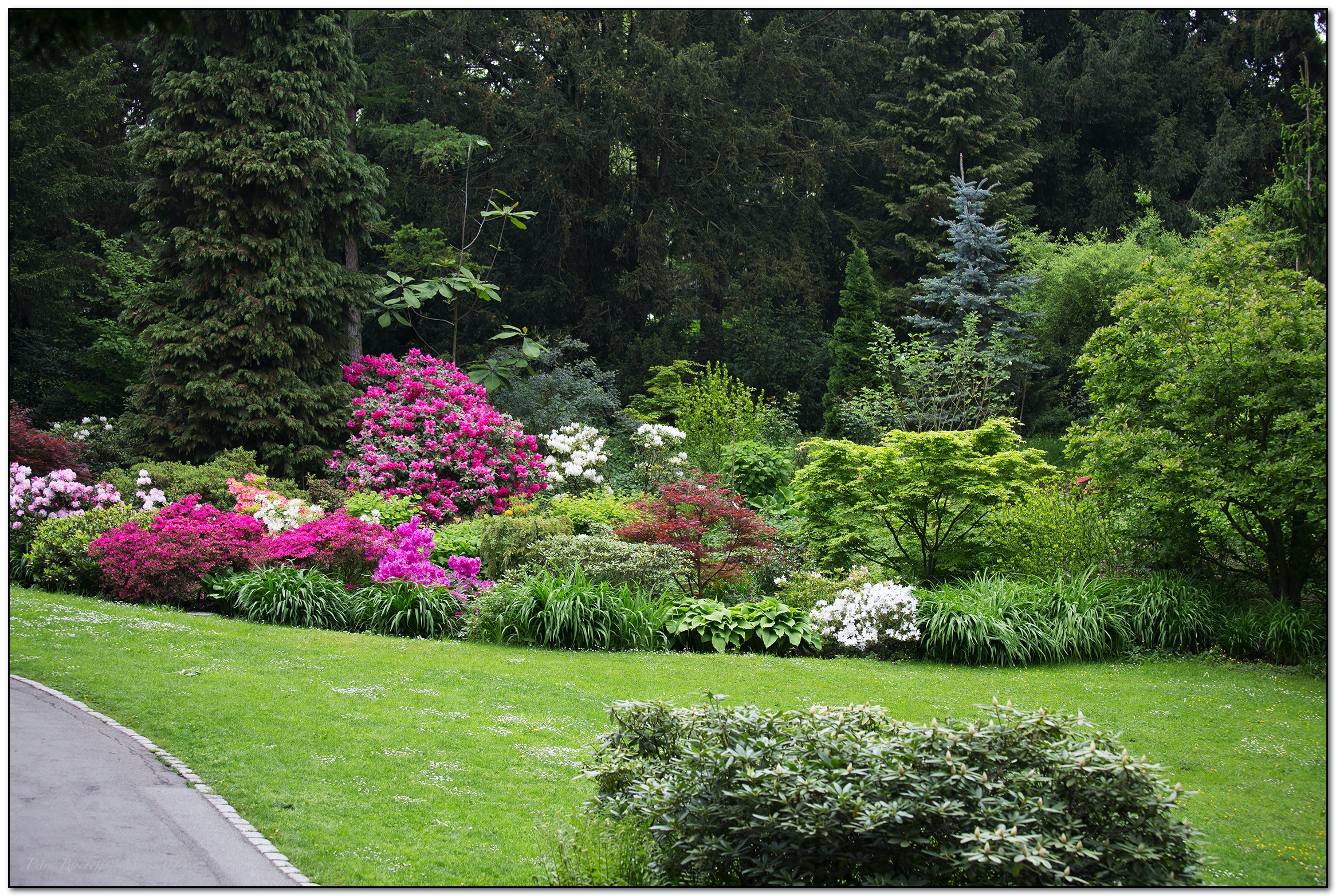 &copy; Petra Bischoff