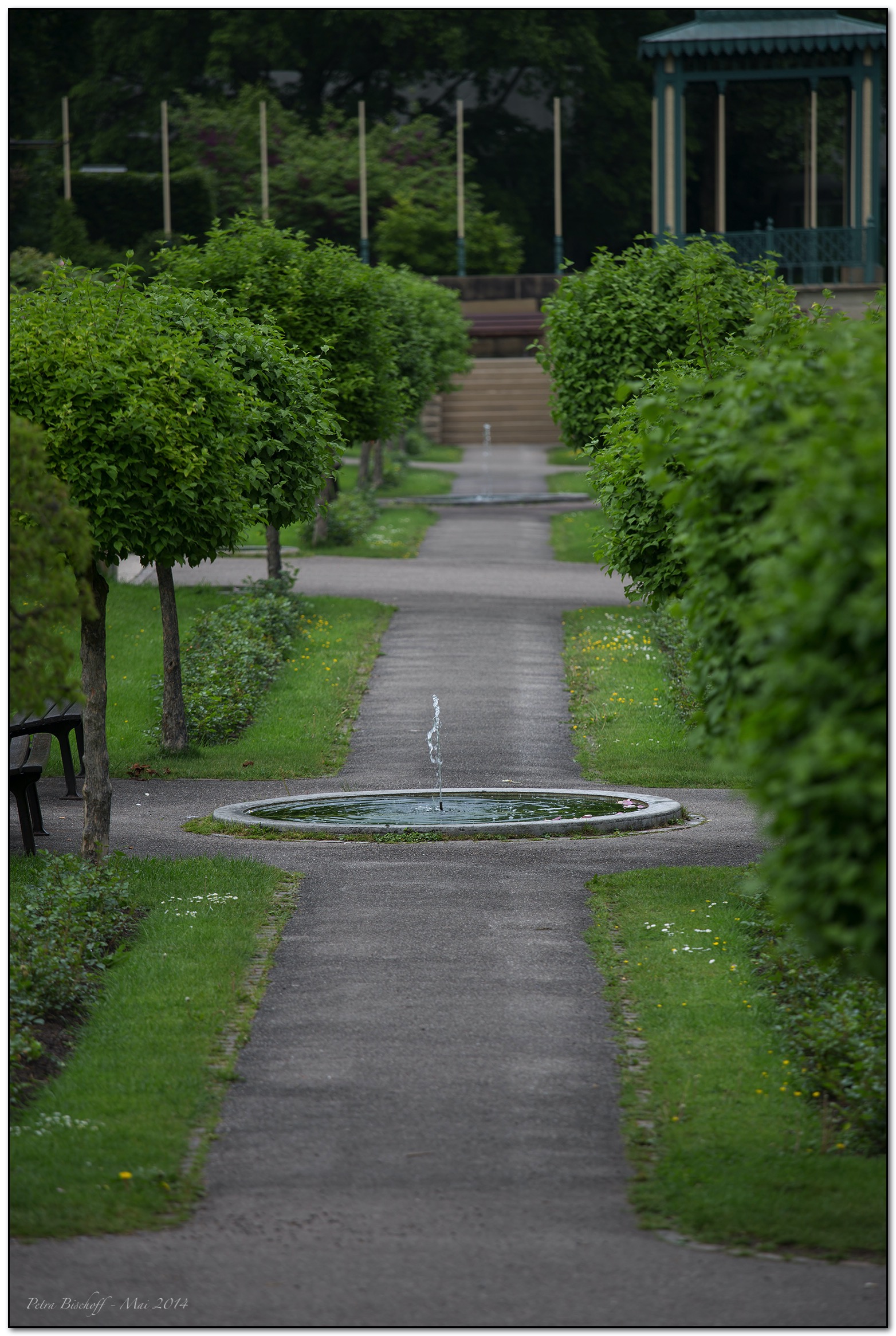 &copy; Petra Bischoff