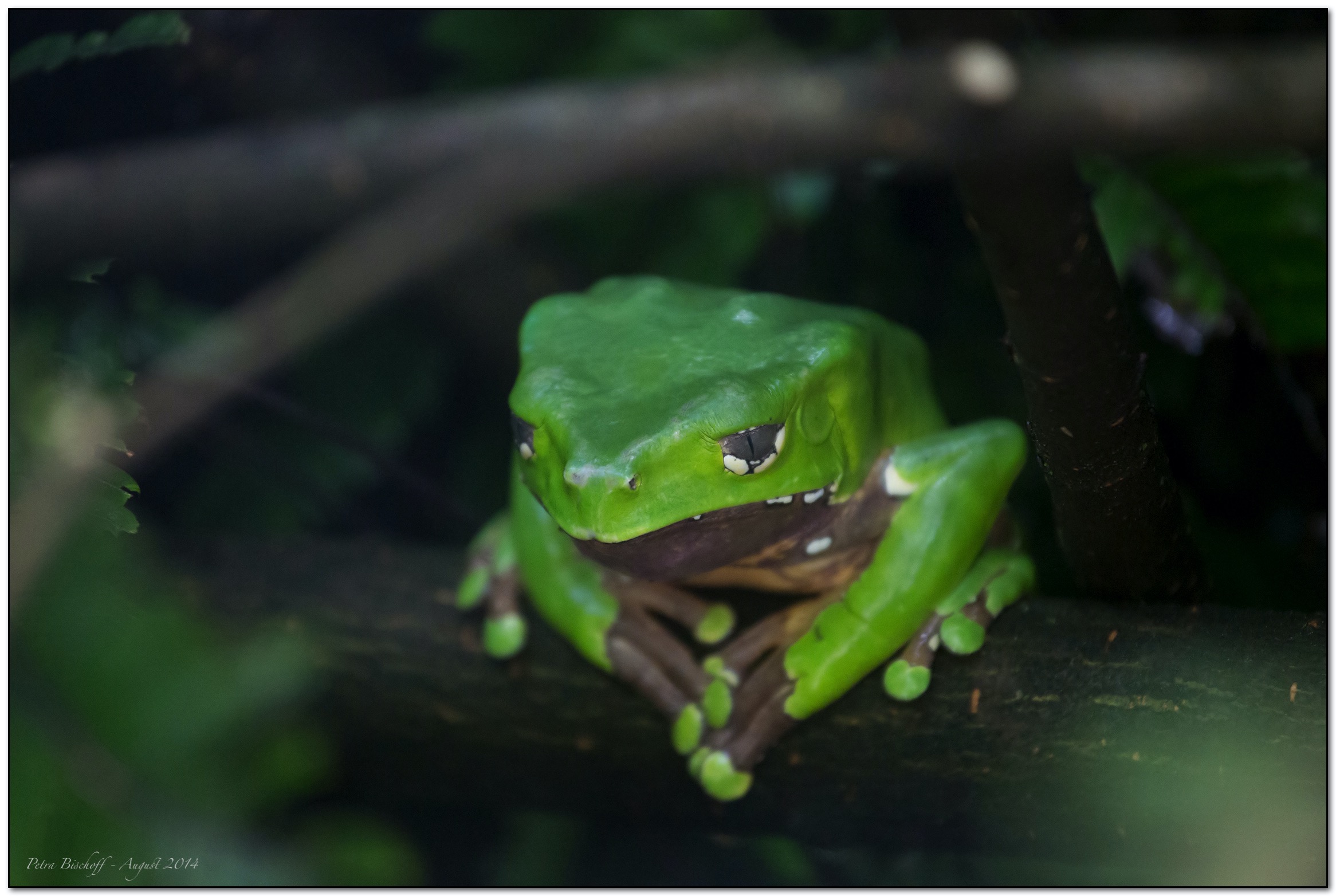 &copy; Petra Bischoff