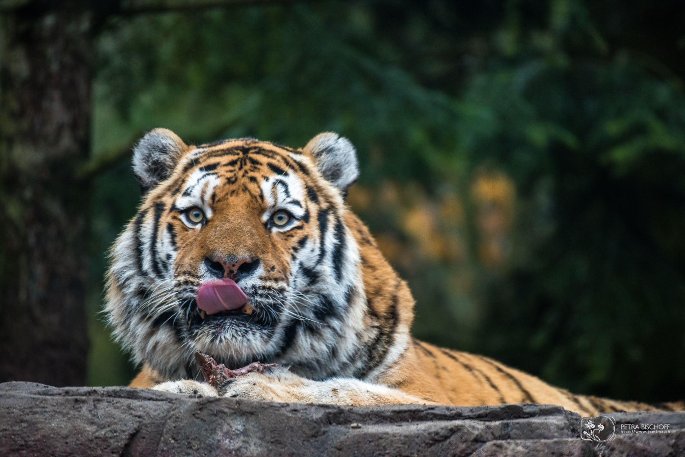 &copy; Petra Bischoff