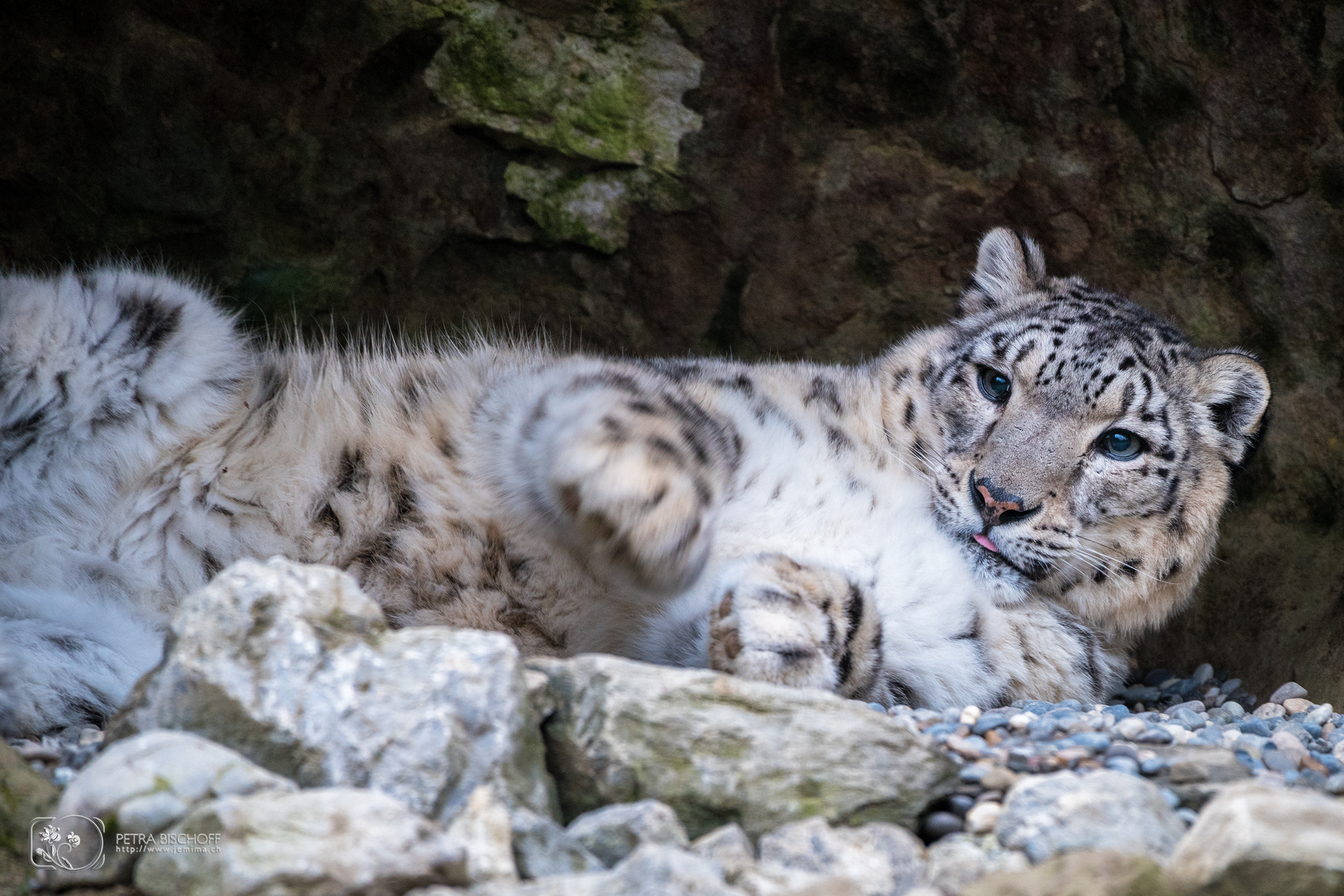 &copy; Petra Bischoff