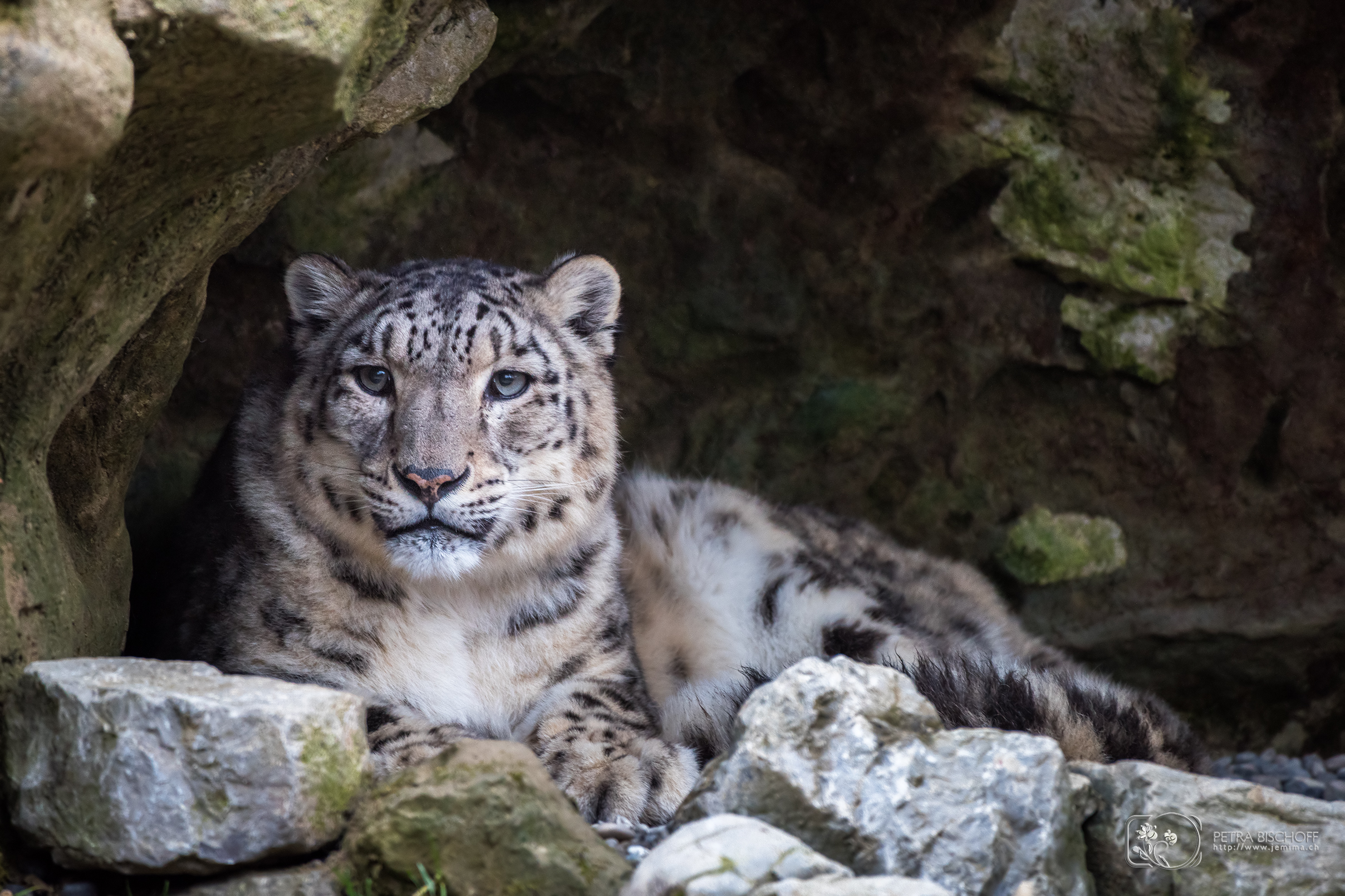 &copy; Petra Bischoff