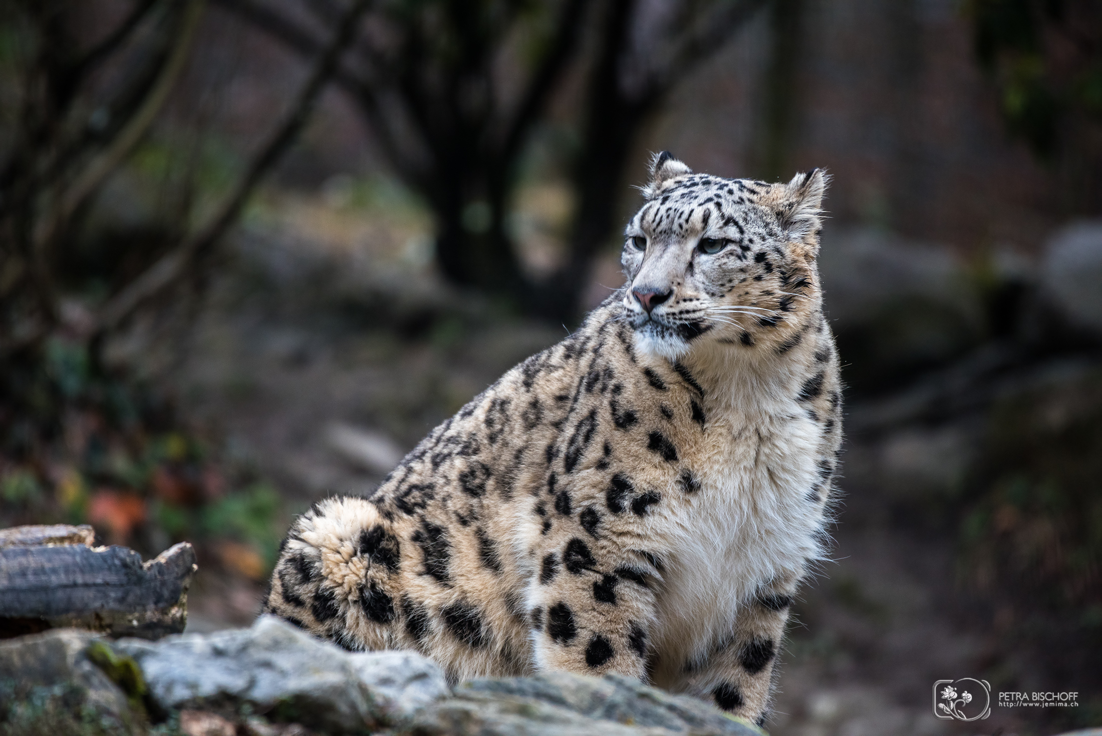 &copy; Petra Bischoff