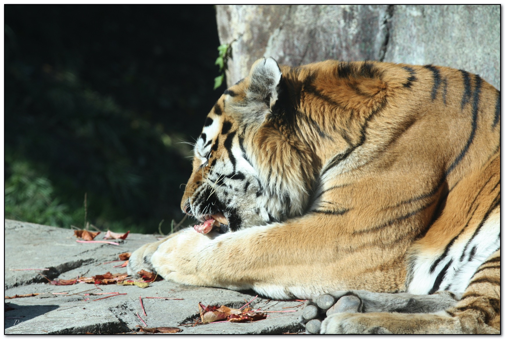 &copy; Petra Bischoff