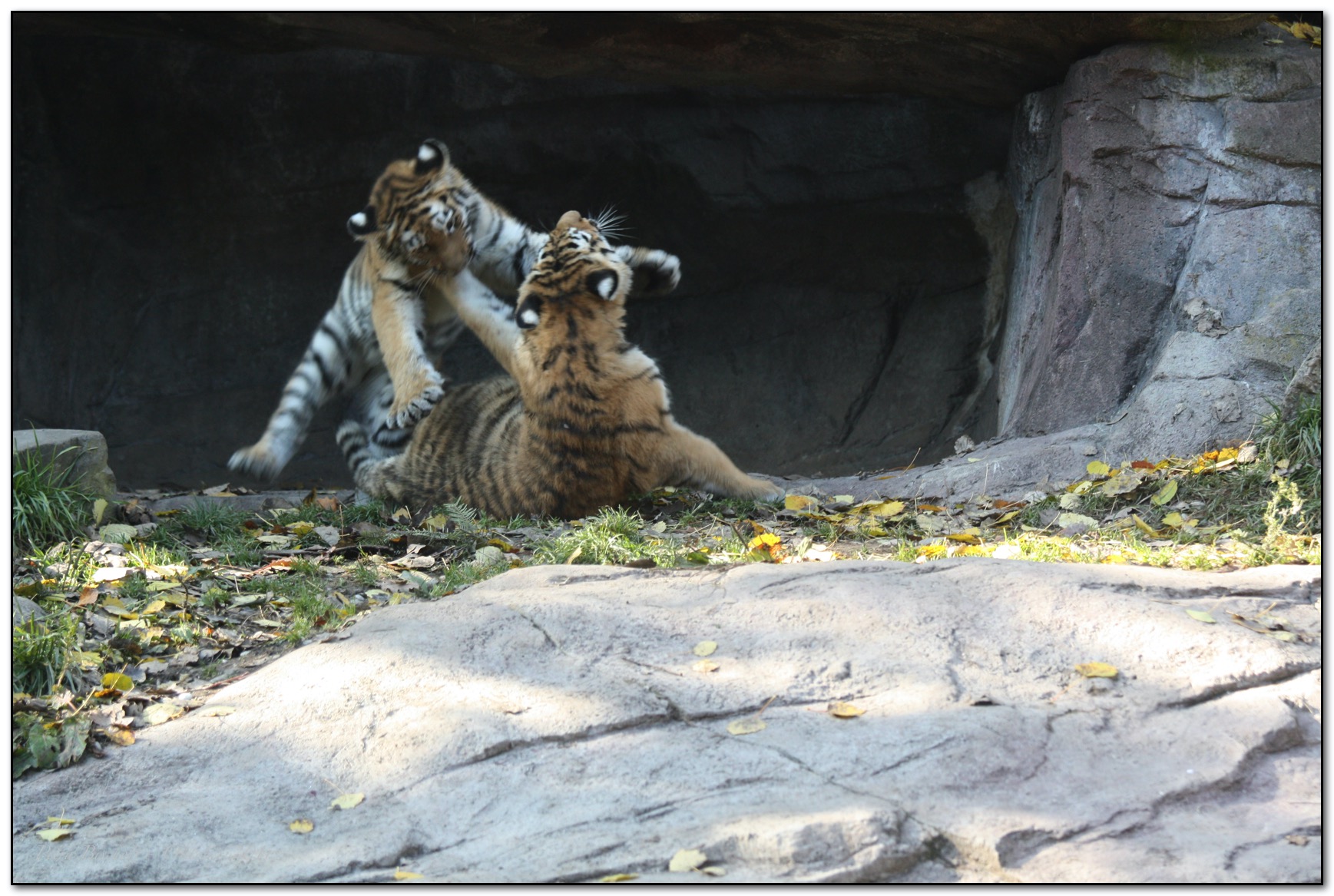 &copy; Petra Bischoff