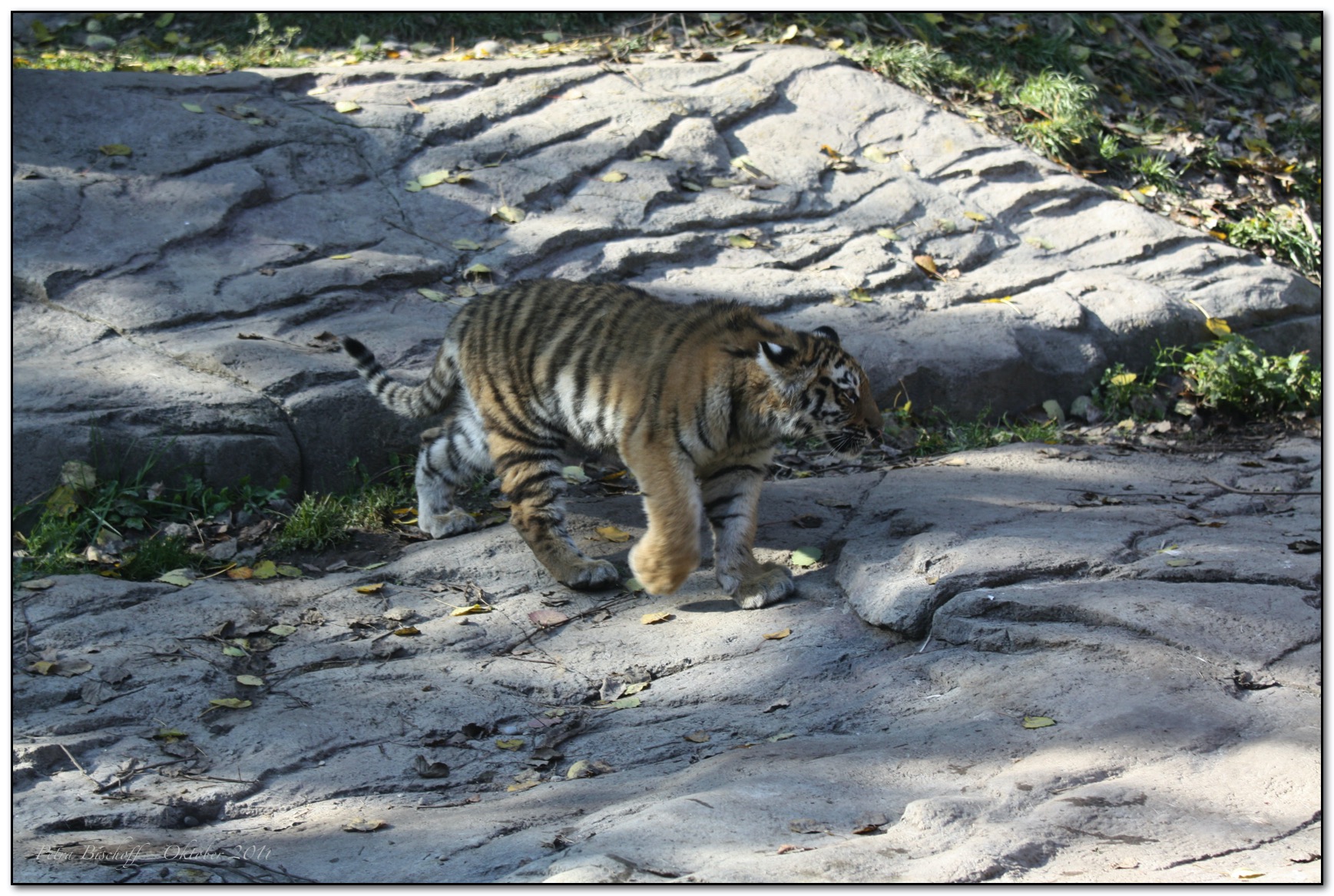 &copy; Petra Bischoff