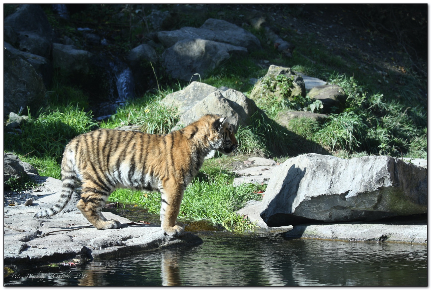 &copy; Petra Bischoff