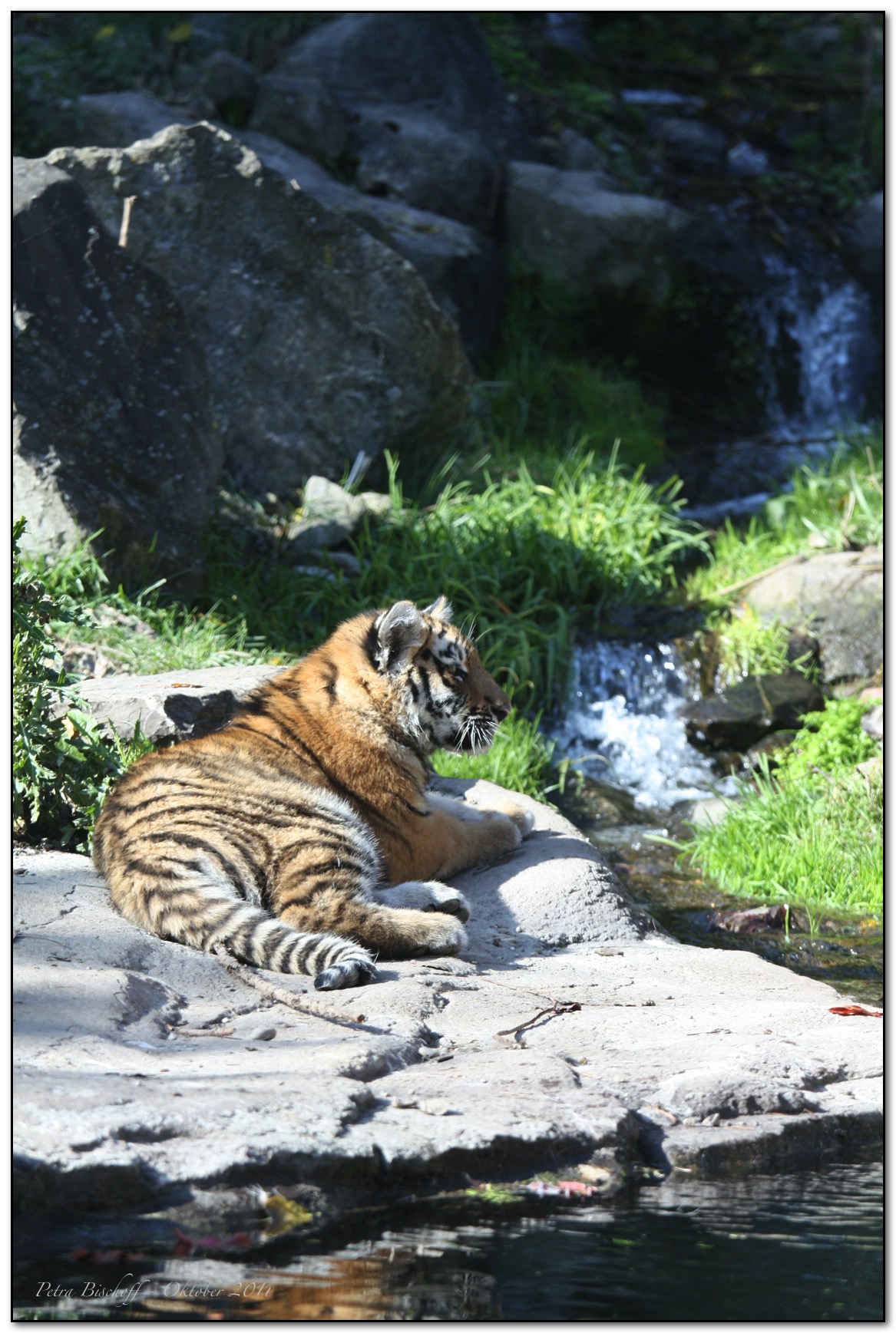 &copy; Petra Bischoff