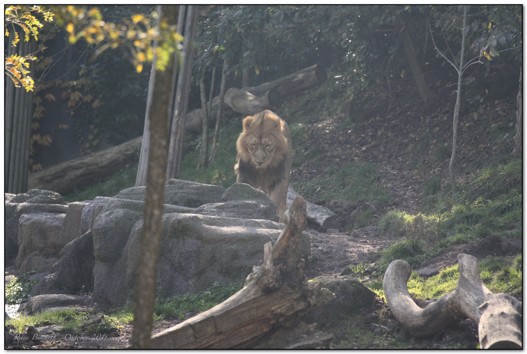 &copy; Petra Bischoff