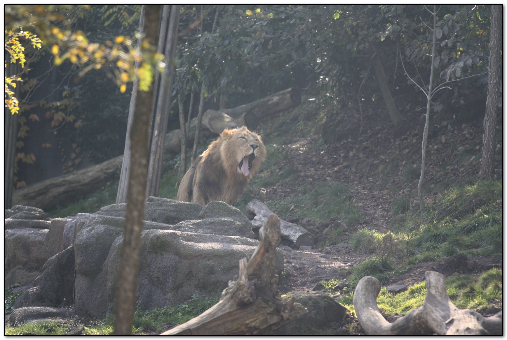 &copy; Petra Bischoff