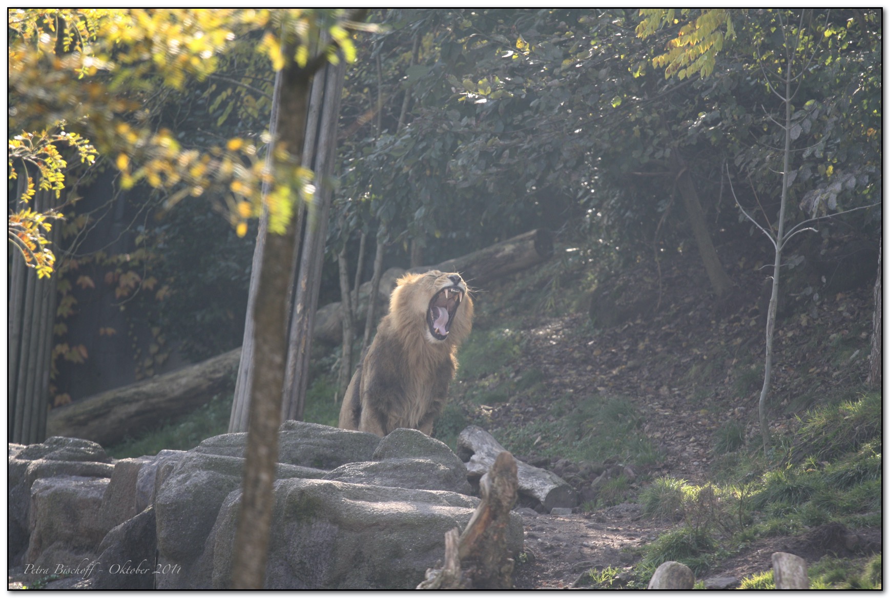 &copy; Petra Bischoff