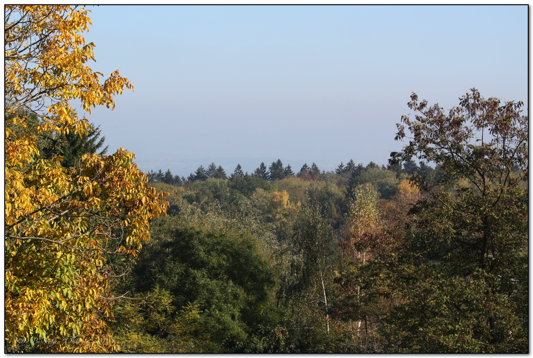 &copy; Petra Bischoff