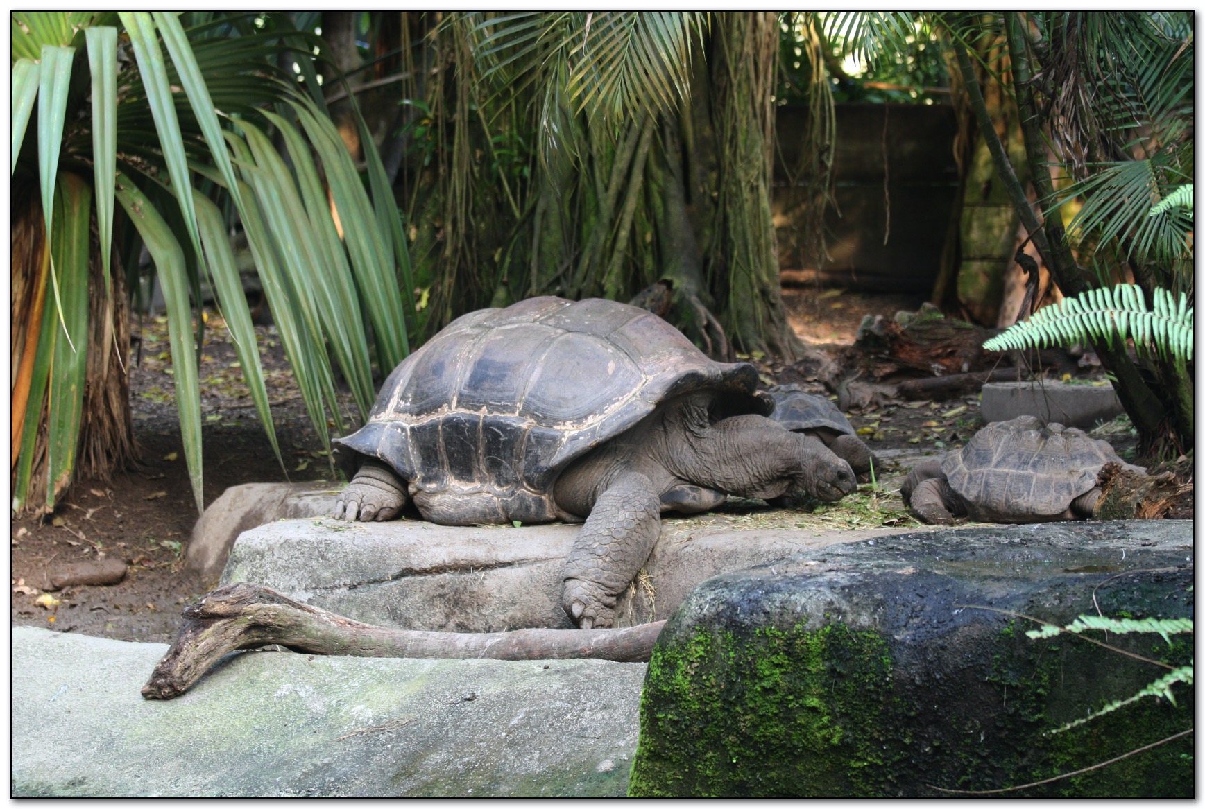 &copy; Petra Bischoff