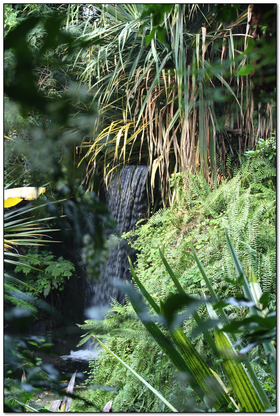 &copy; Petra Bischoff