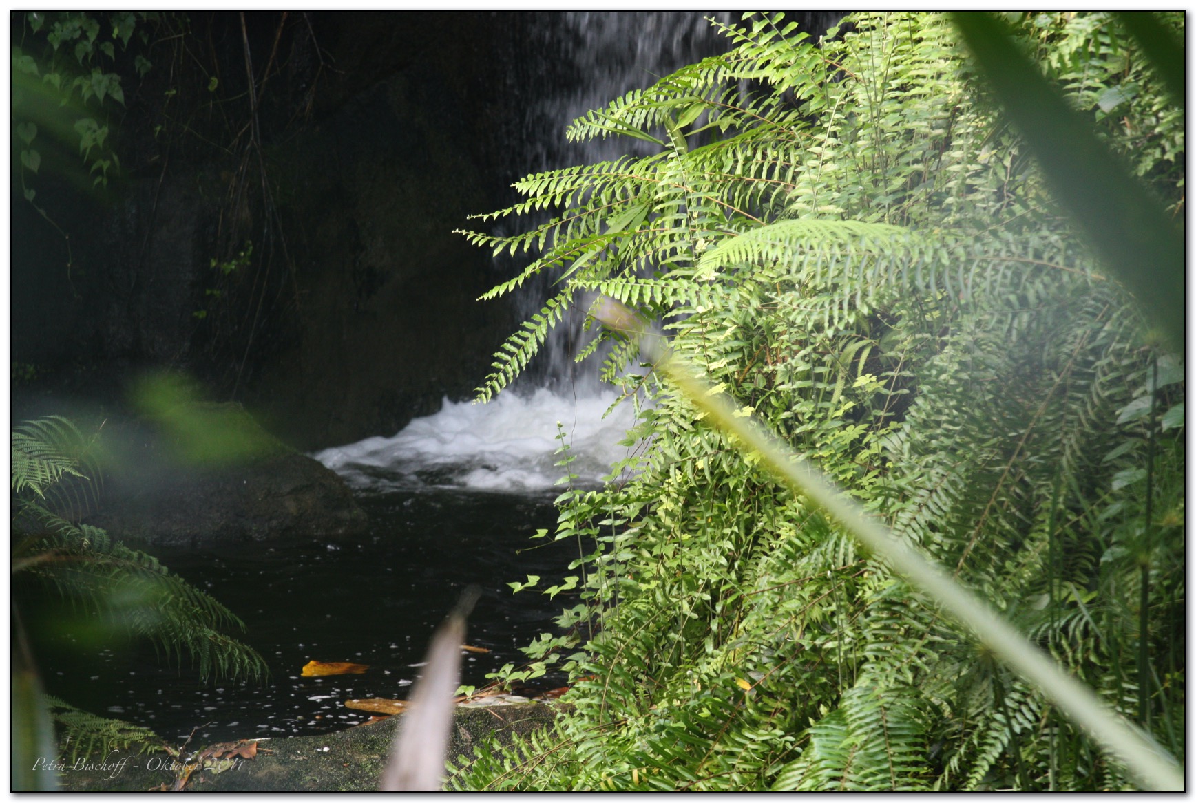 &copy; Petra Bischoff