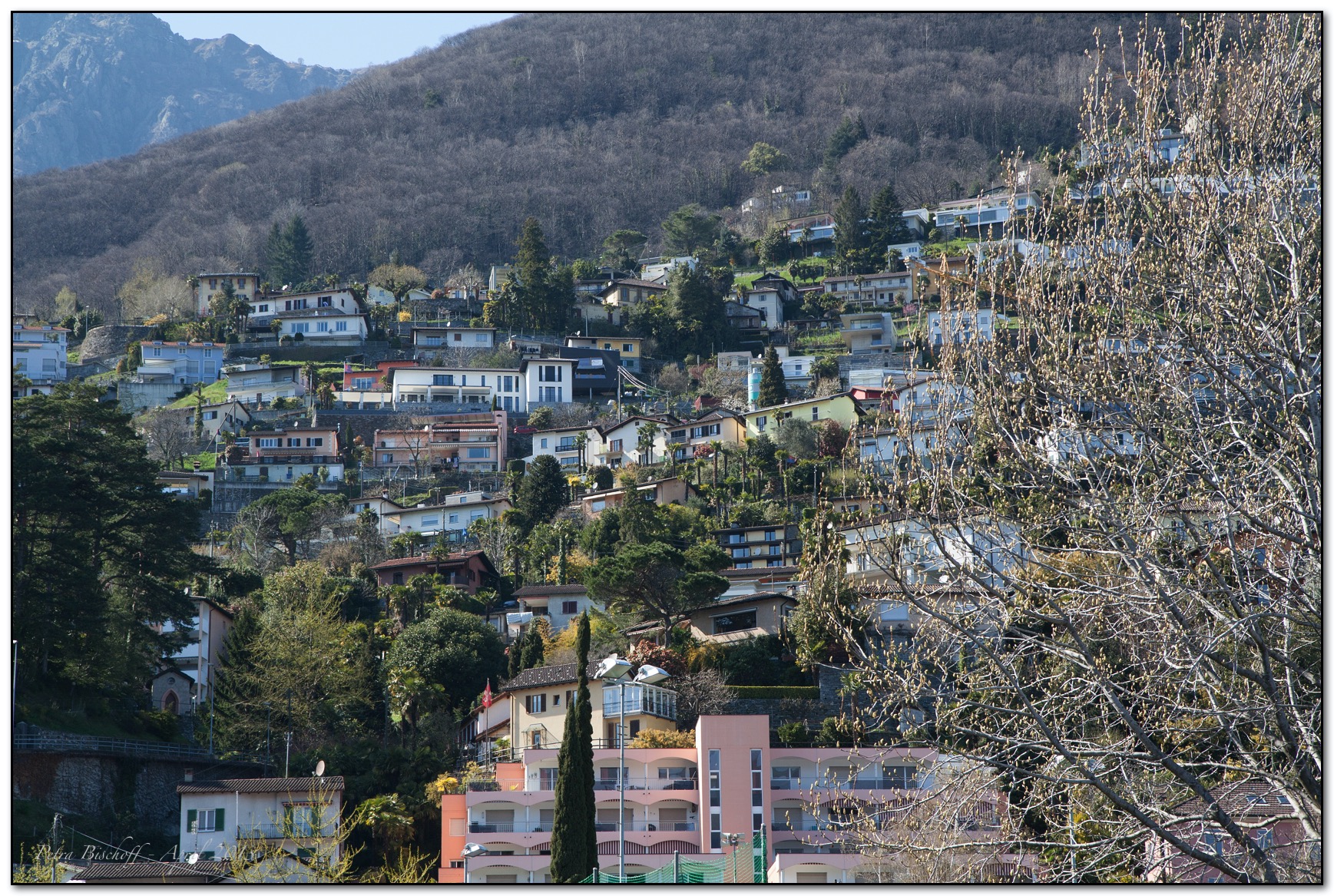 &copy; Petra Bischoff 