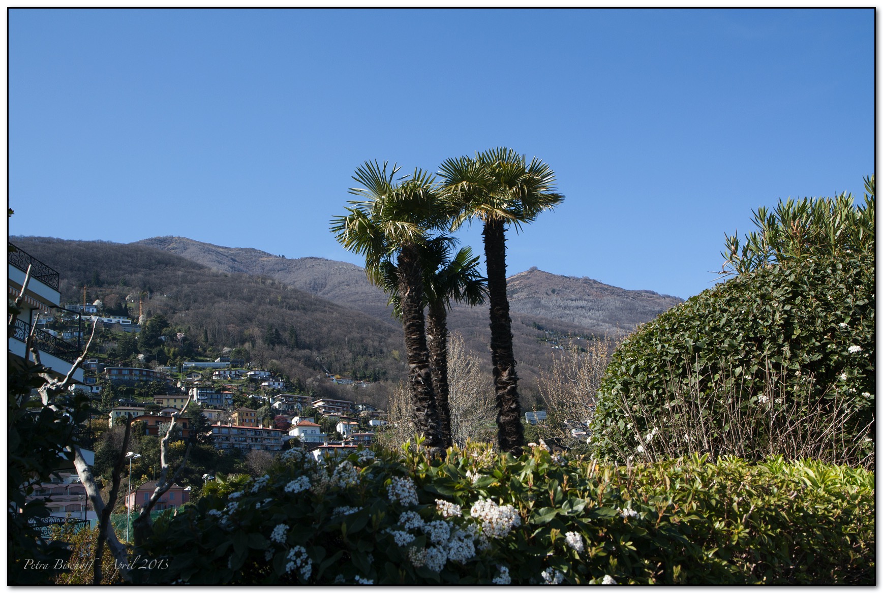 &copy; Petra Bischoff 