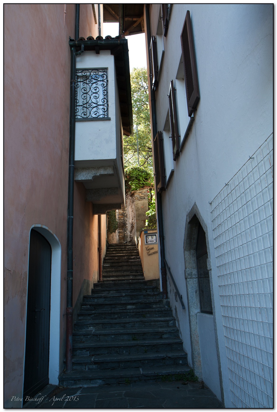 &copy; Petra Bischoff 