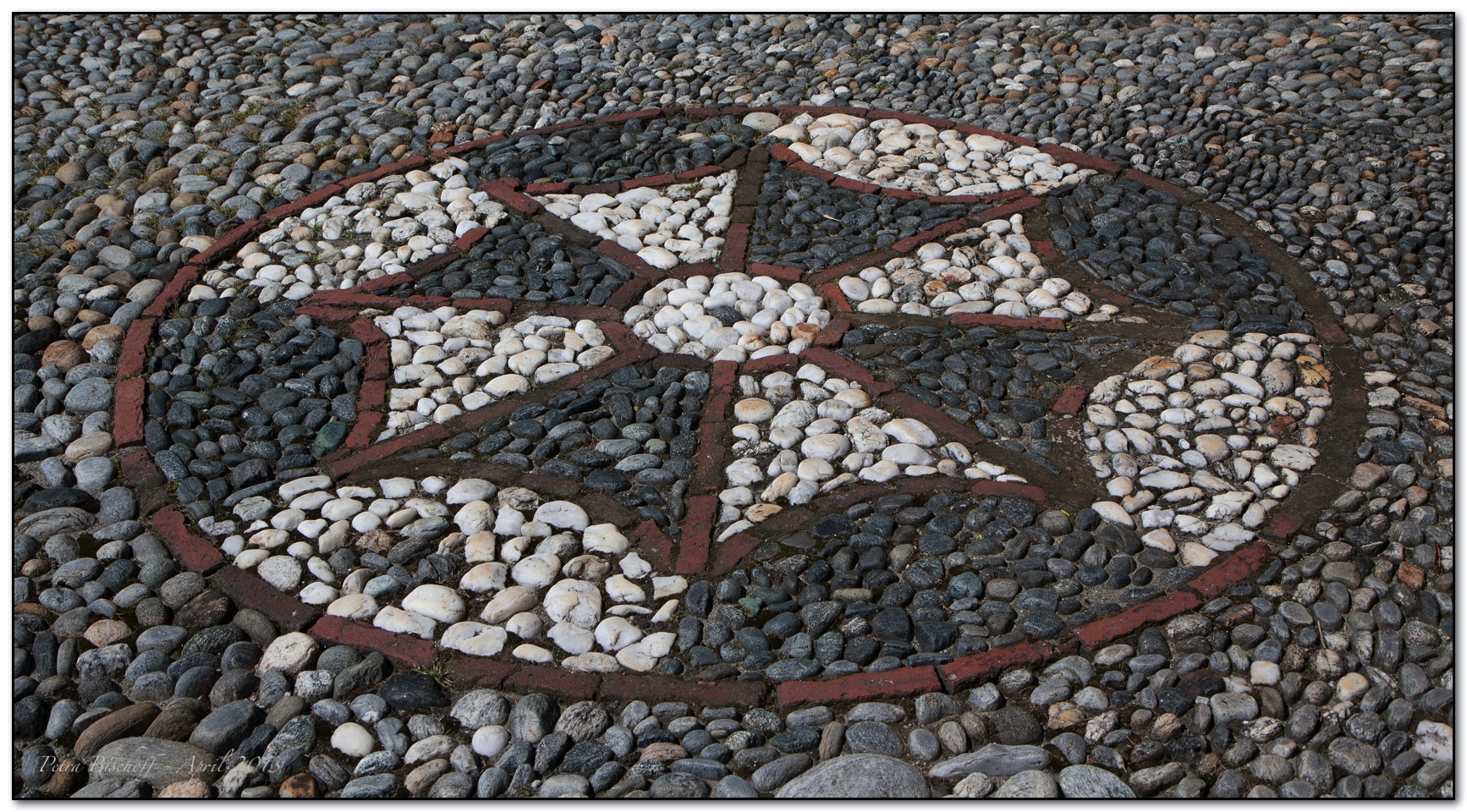 &copy; Petra Bischoff 