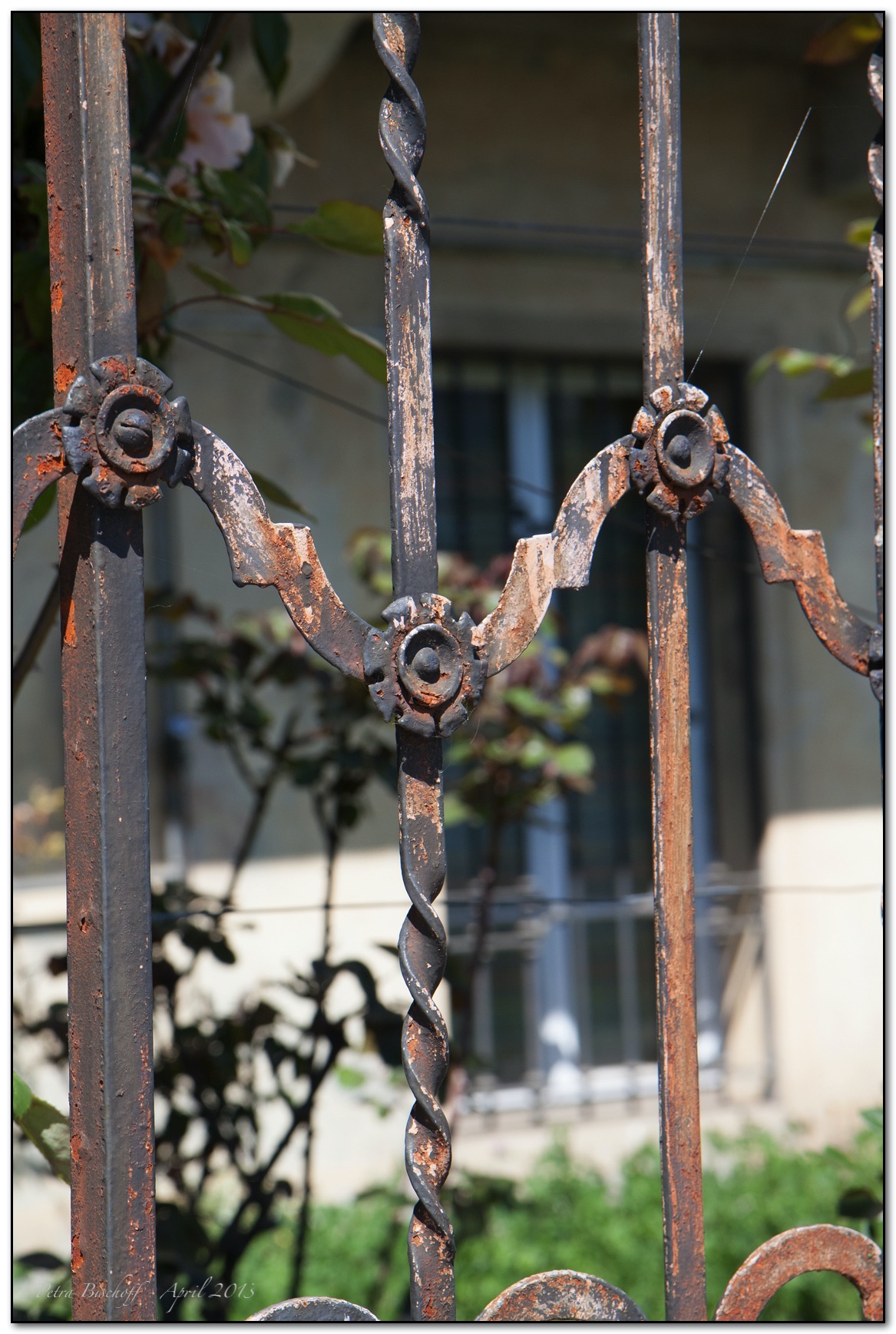 &copy; Petra Bischoff 