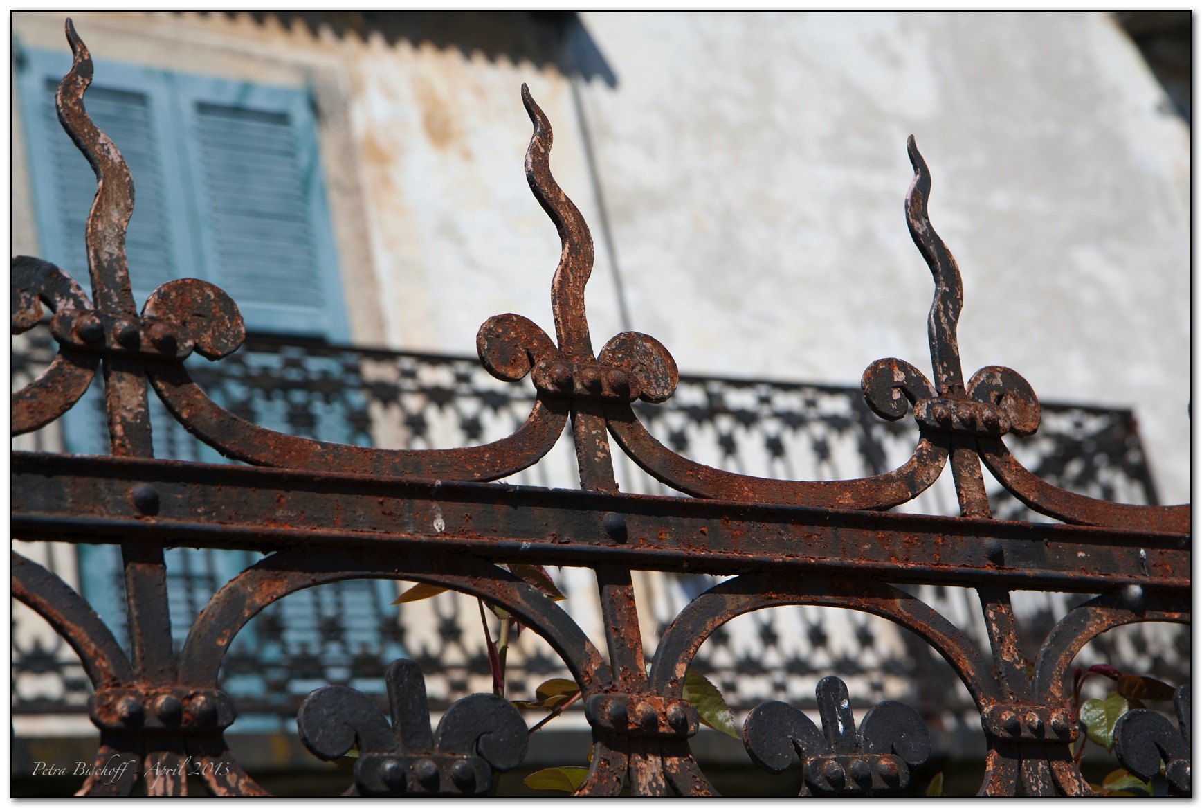 &copy; Petra Bischoff 