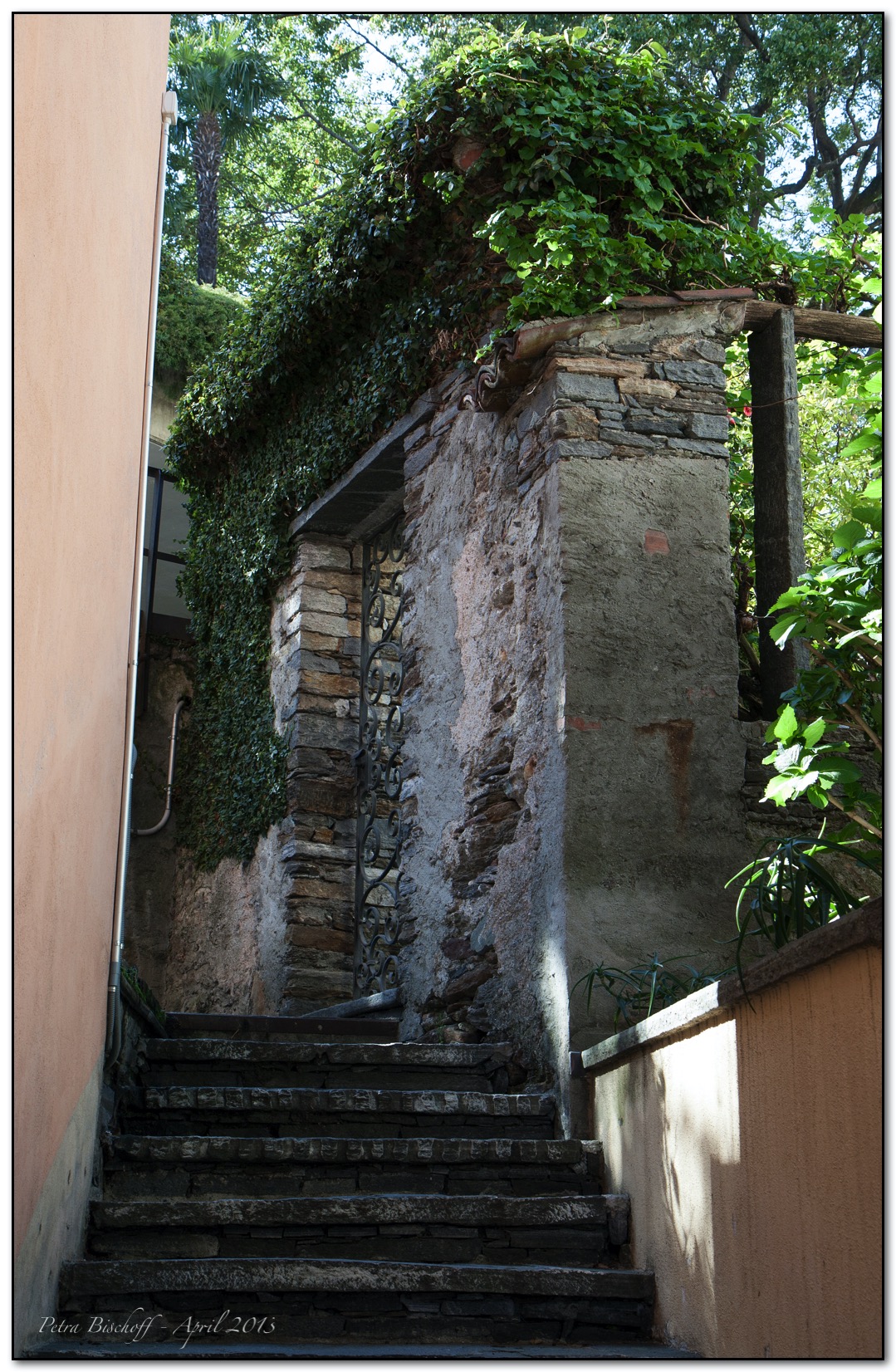 &copy; Petra Bischoff 