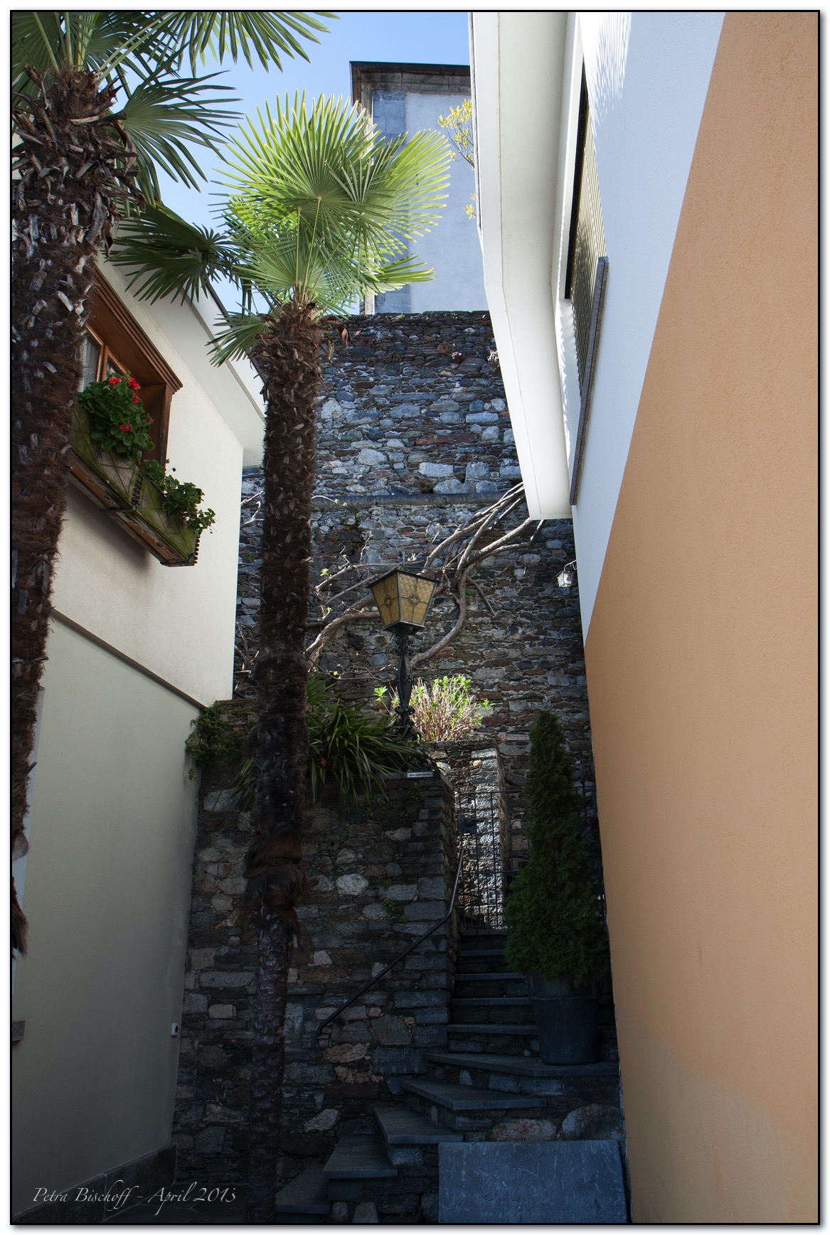 &copy; Petra Bischoff 